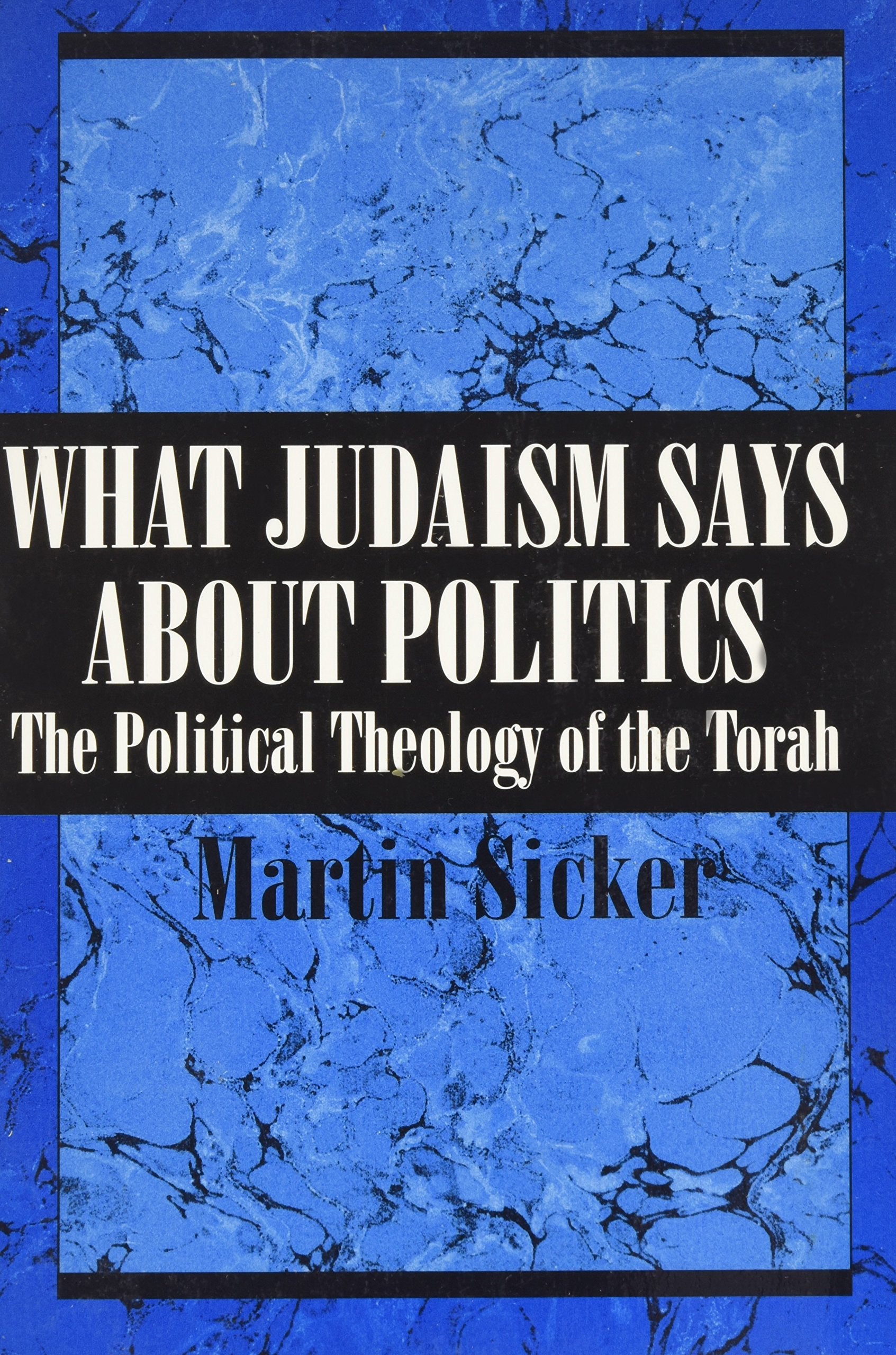 What Judaism Says About Politics: The Political Theology Of The Torah,Used
