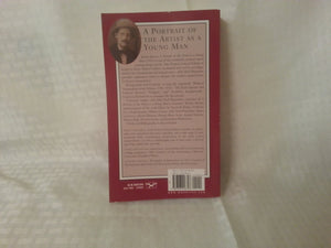 A Portrait Of The Artist As A Young Man (Norton Critical Editions)