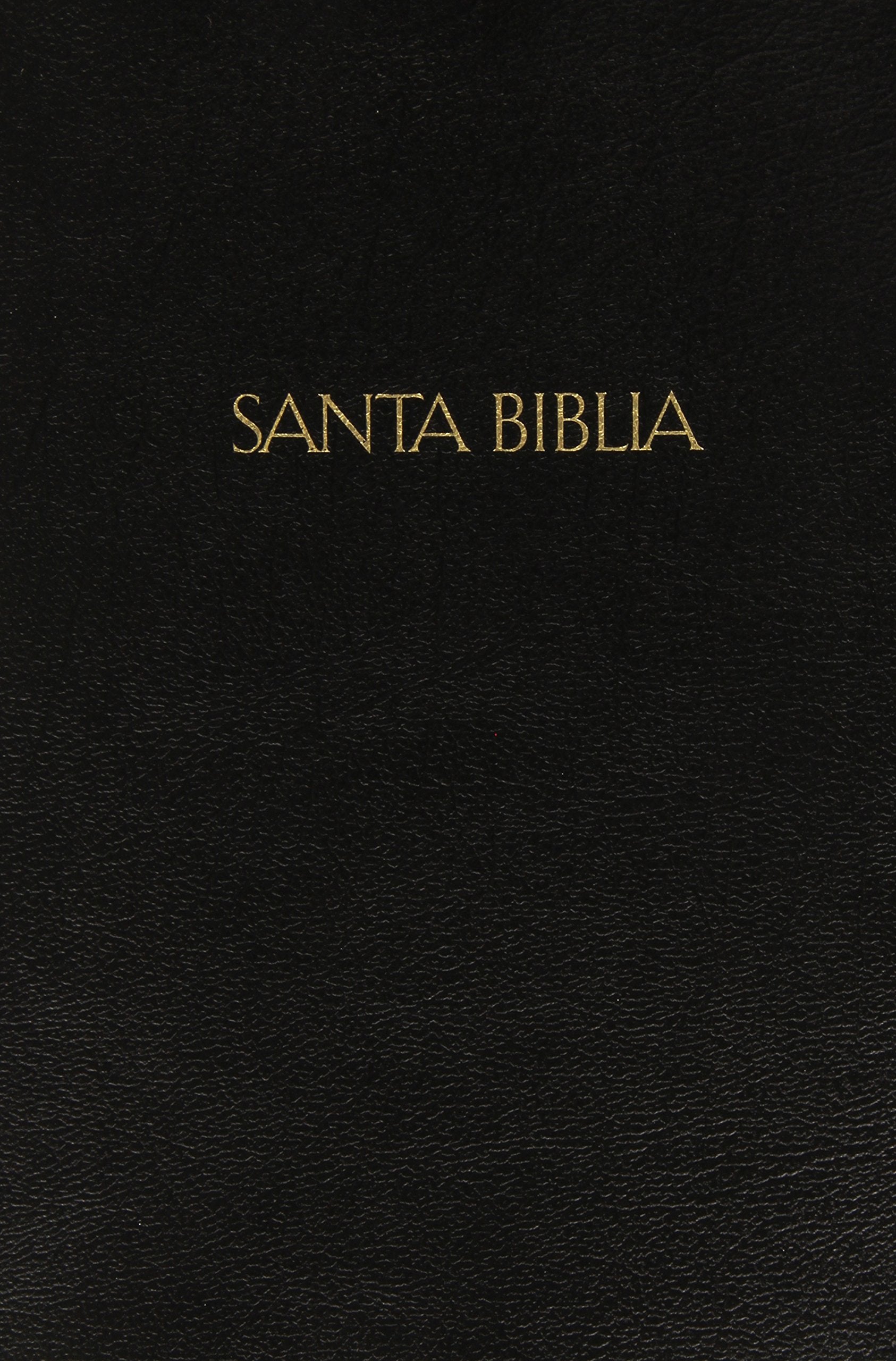 Santa Biblia (Spanish And English) (Spanish and English Edition),Used