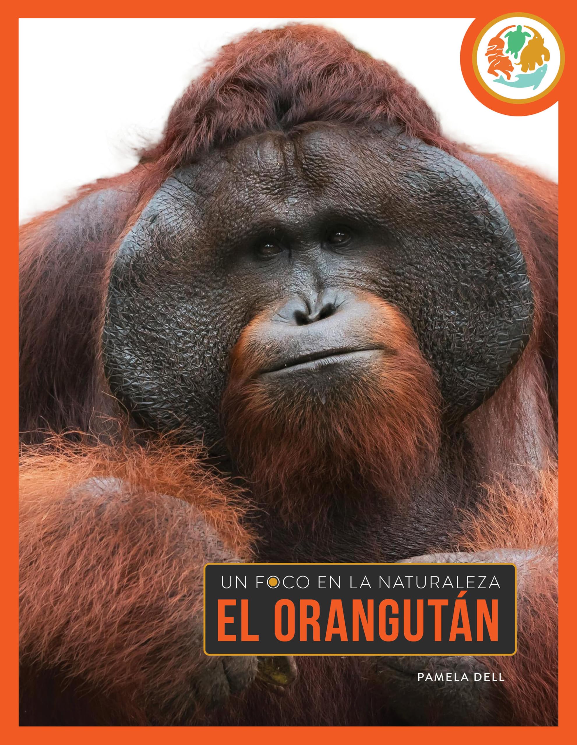 El Orangutn (Spanish Edition)