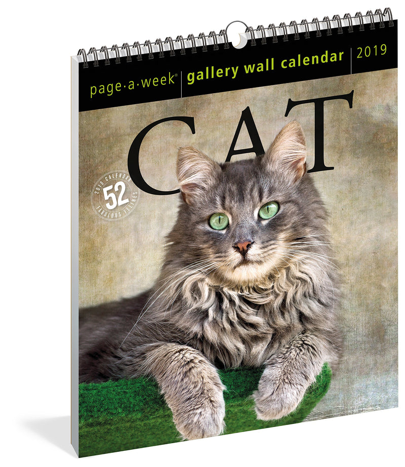 Cat PageAWeek Gallery Wall Calendar 2019,New