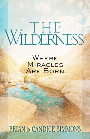 The Wilderness: Where Miracles Are Born (Passion Translation),Used