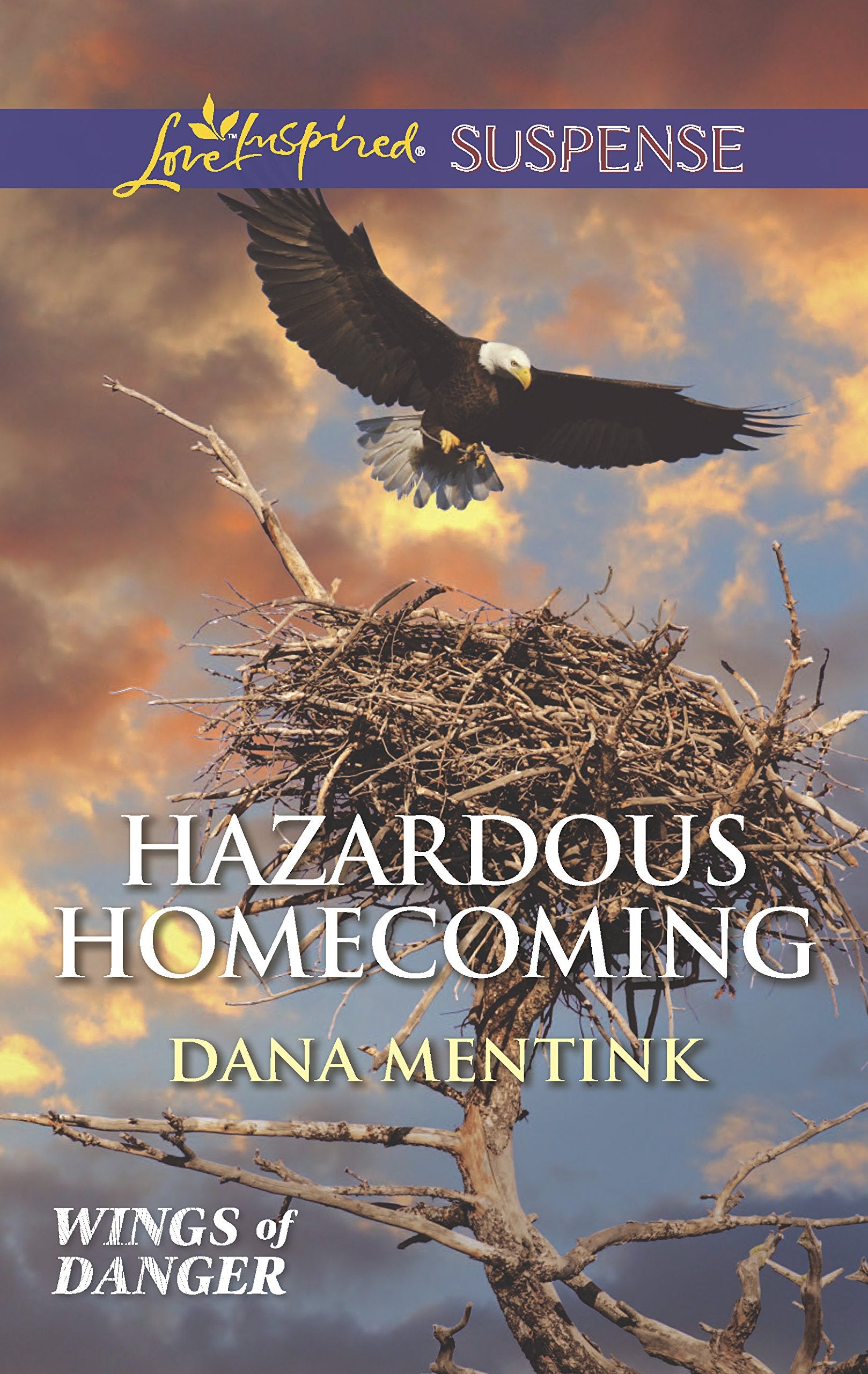 Hazardous Homecoming (Wings of Danger, 1),Used