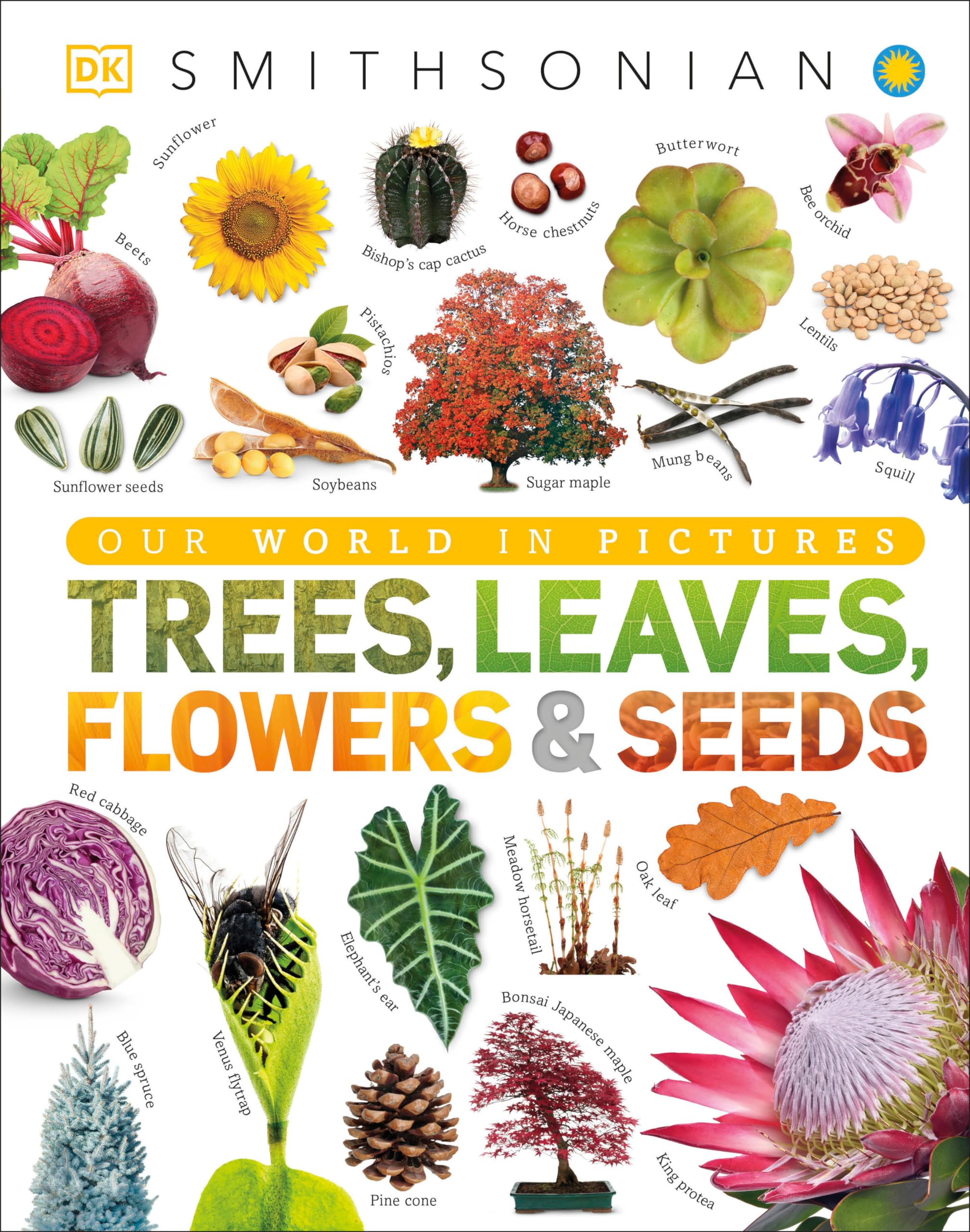 Trees, Leaves, Flowers and Seeds: A Visual Encyclopedia of the Plant Kingdom (DK Our World in Pictures),New