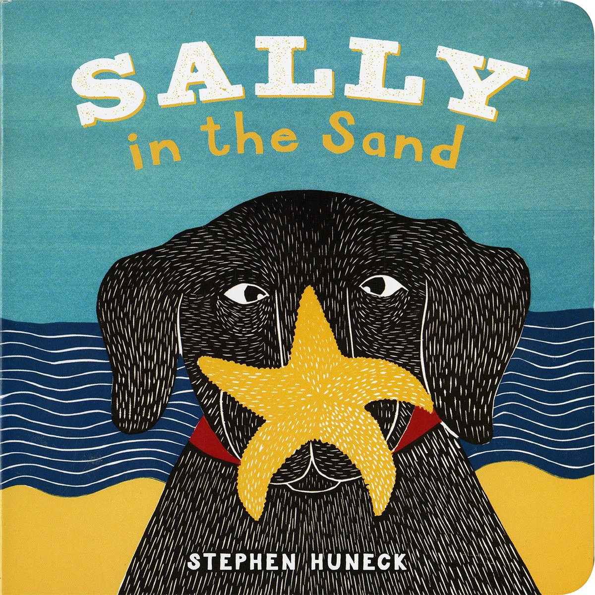Sally in the Sand (Sally Board Books),Used
