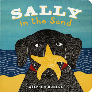 Sally in the Sand (Sally Board Books),Used