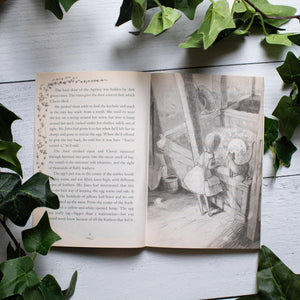 The Enchanted Egg (The Magical Animal Adoption Agency, 2),Used