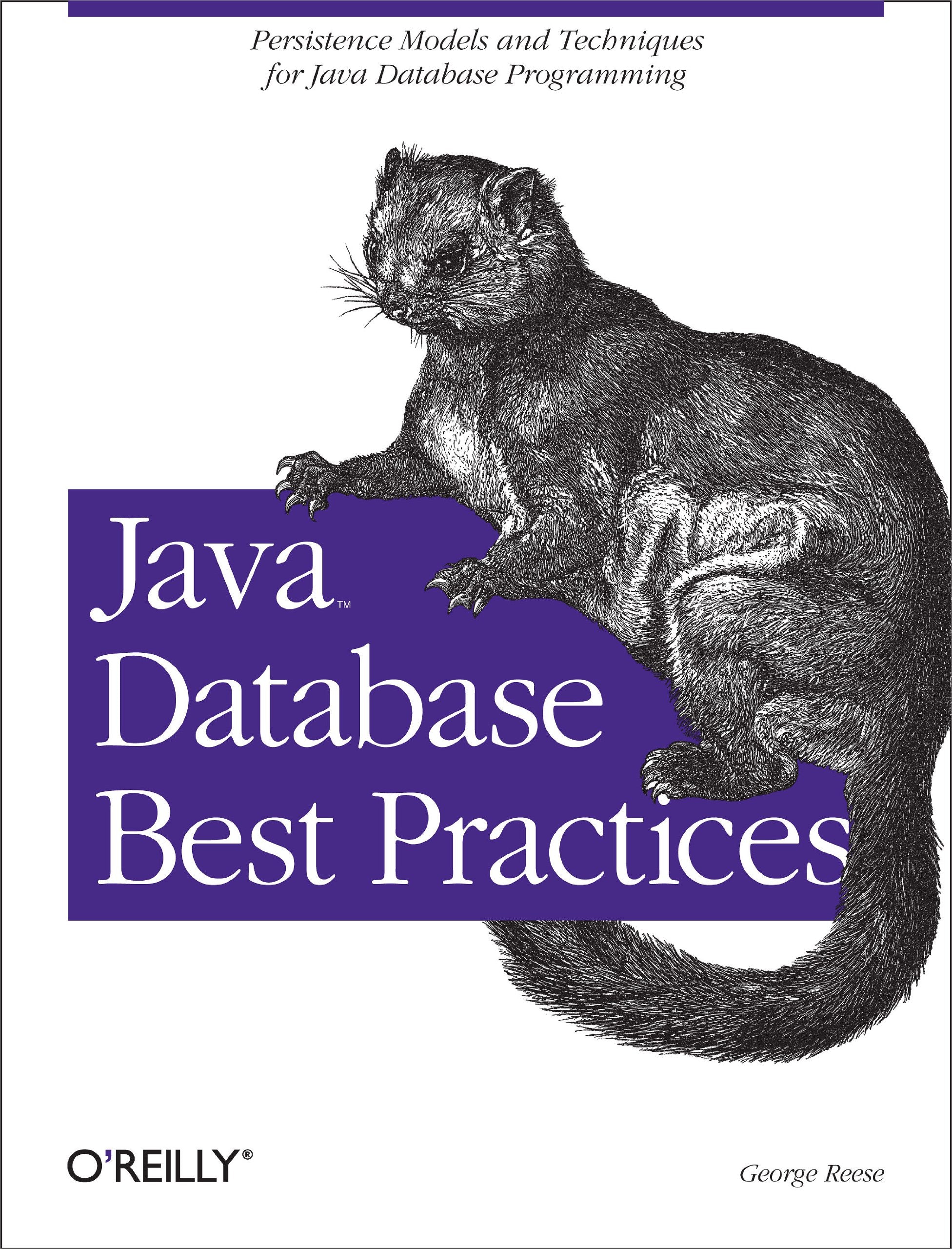 Java Database Best Practices: Persistence Models and Techniques for Java Database Programming,New