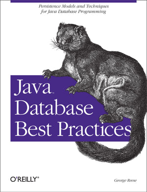 Java Database Best Practices: Persistence Models and Techniques for Java Database Programming,Used