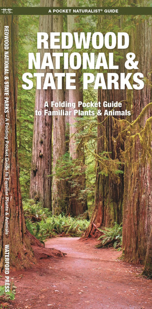 Redwood National & State Parks: A Folding Pocket Guide to Familiar Plants and Animals (Wildlife and Nature Identification),Used