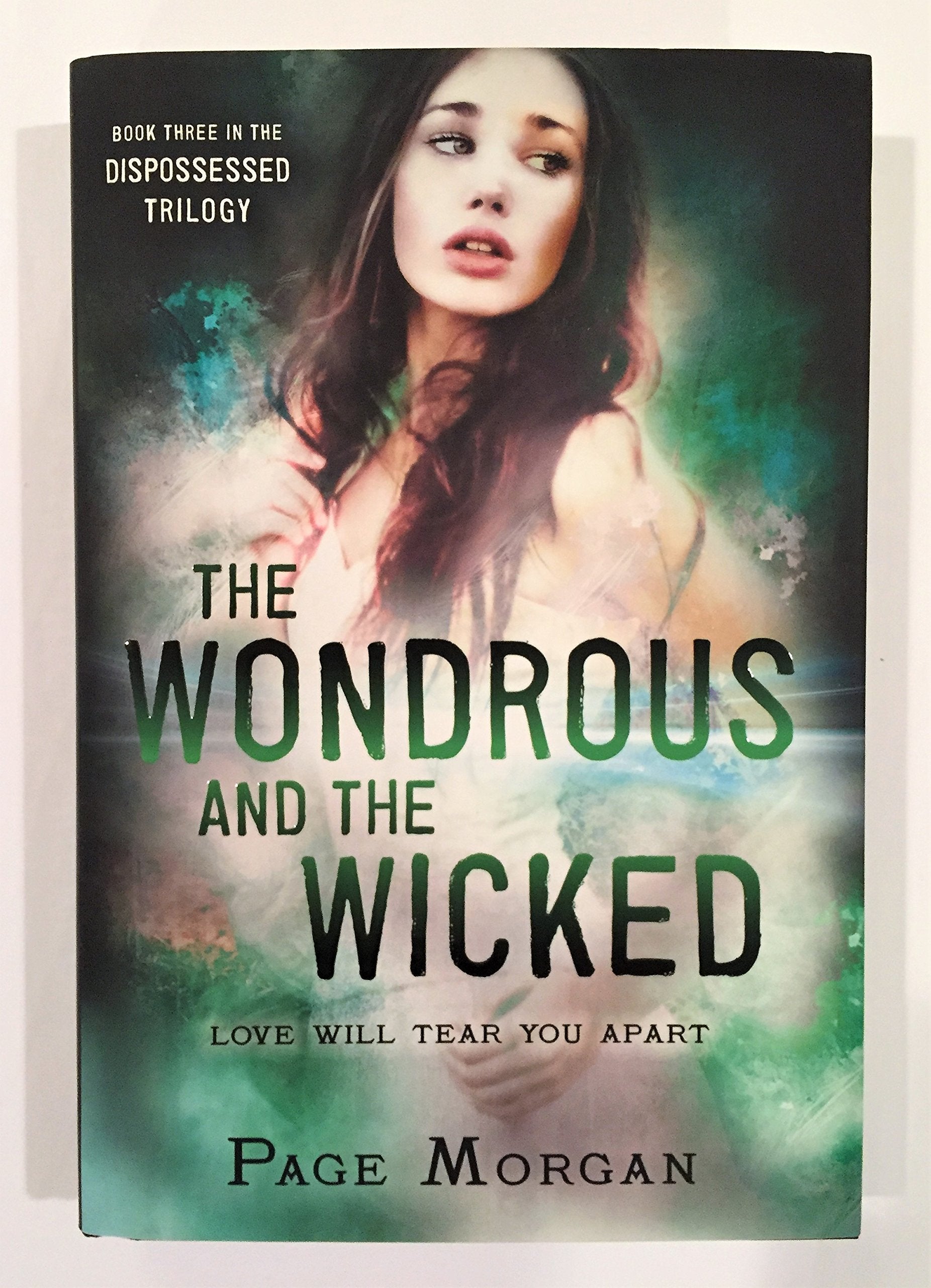 The Wondrous and the Wicked (The Dispossessed),Used