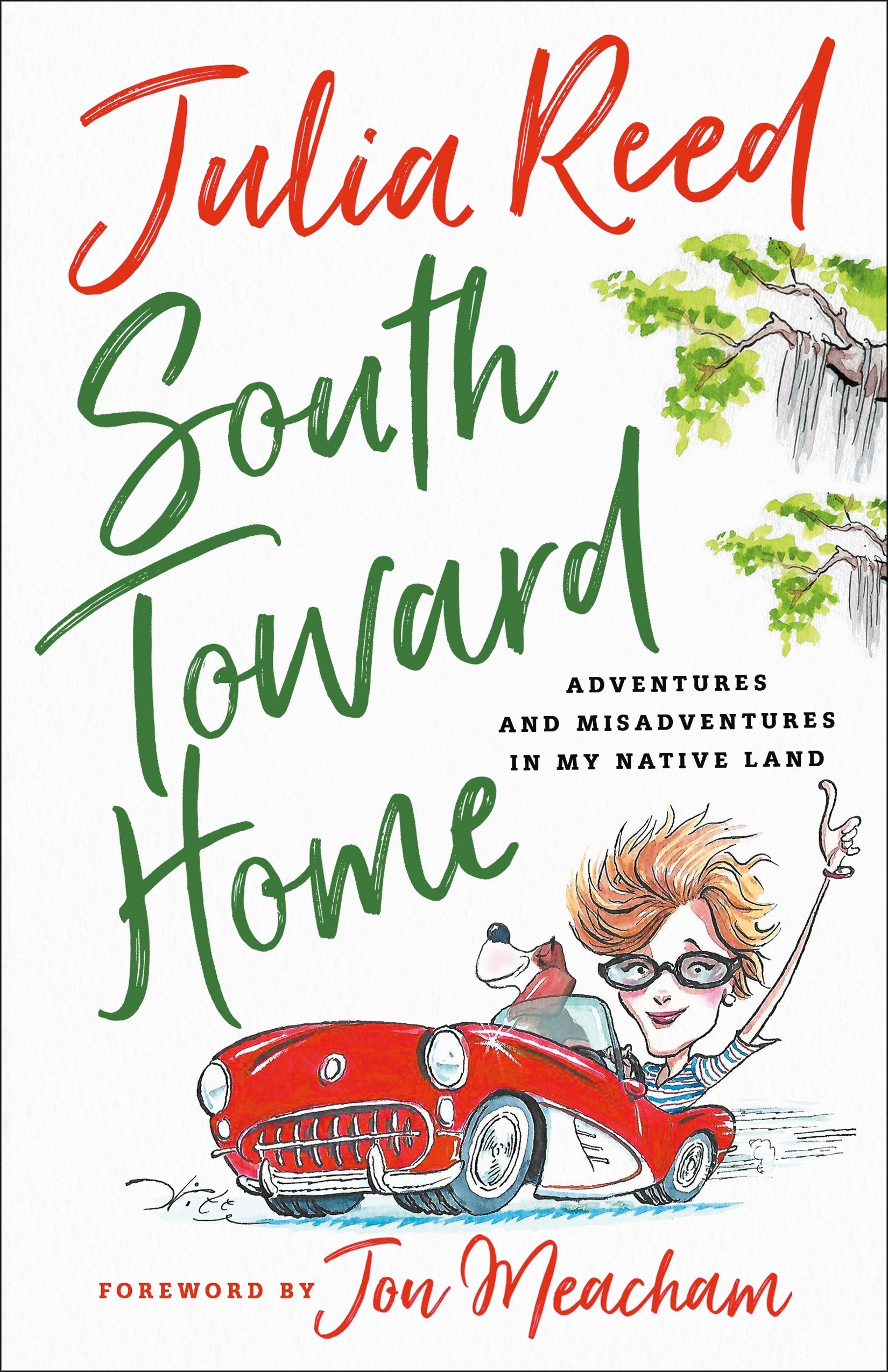 South Toward Home: Adventures And Misadventures In My Native Land