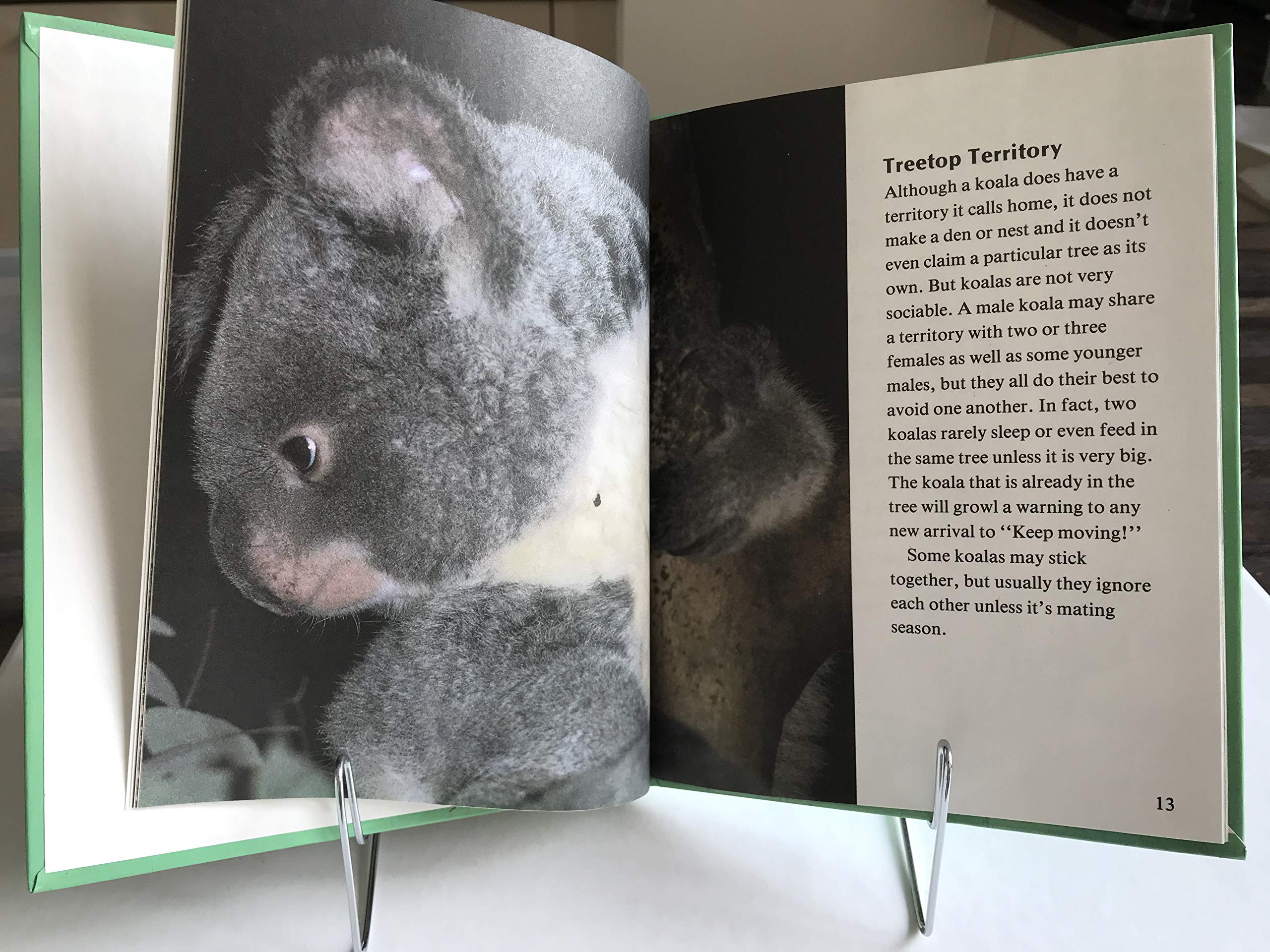 Koalas (Nature'S Children),Used