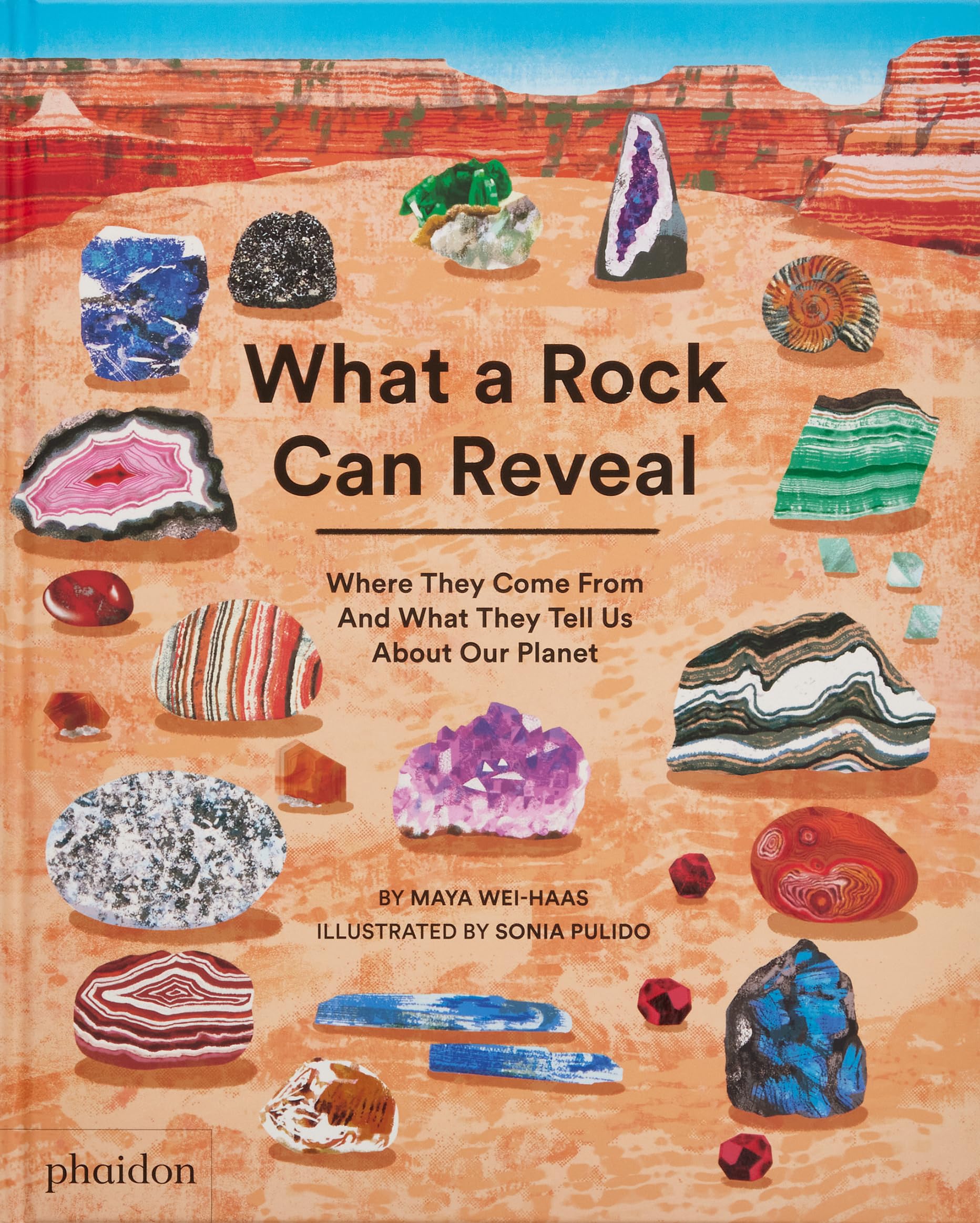 What a Rock Can Reveal: Where They Come From And What They Tell Us About Our Planet,New