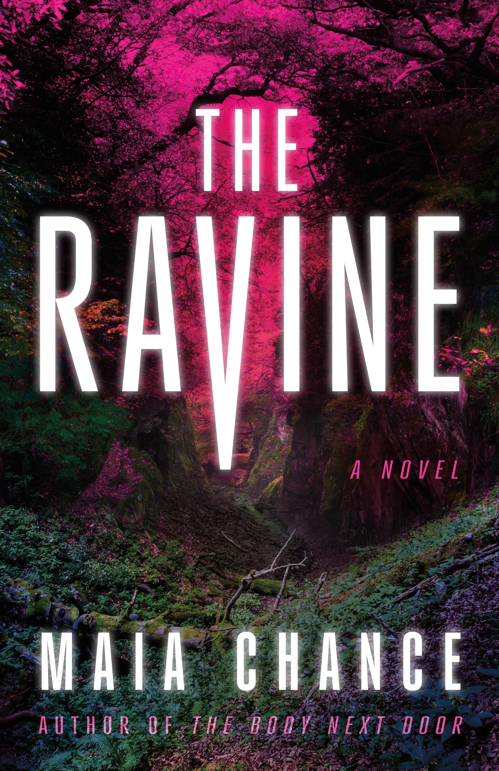 The Ravine: A Novel