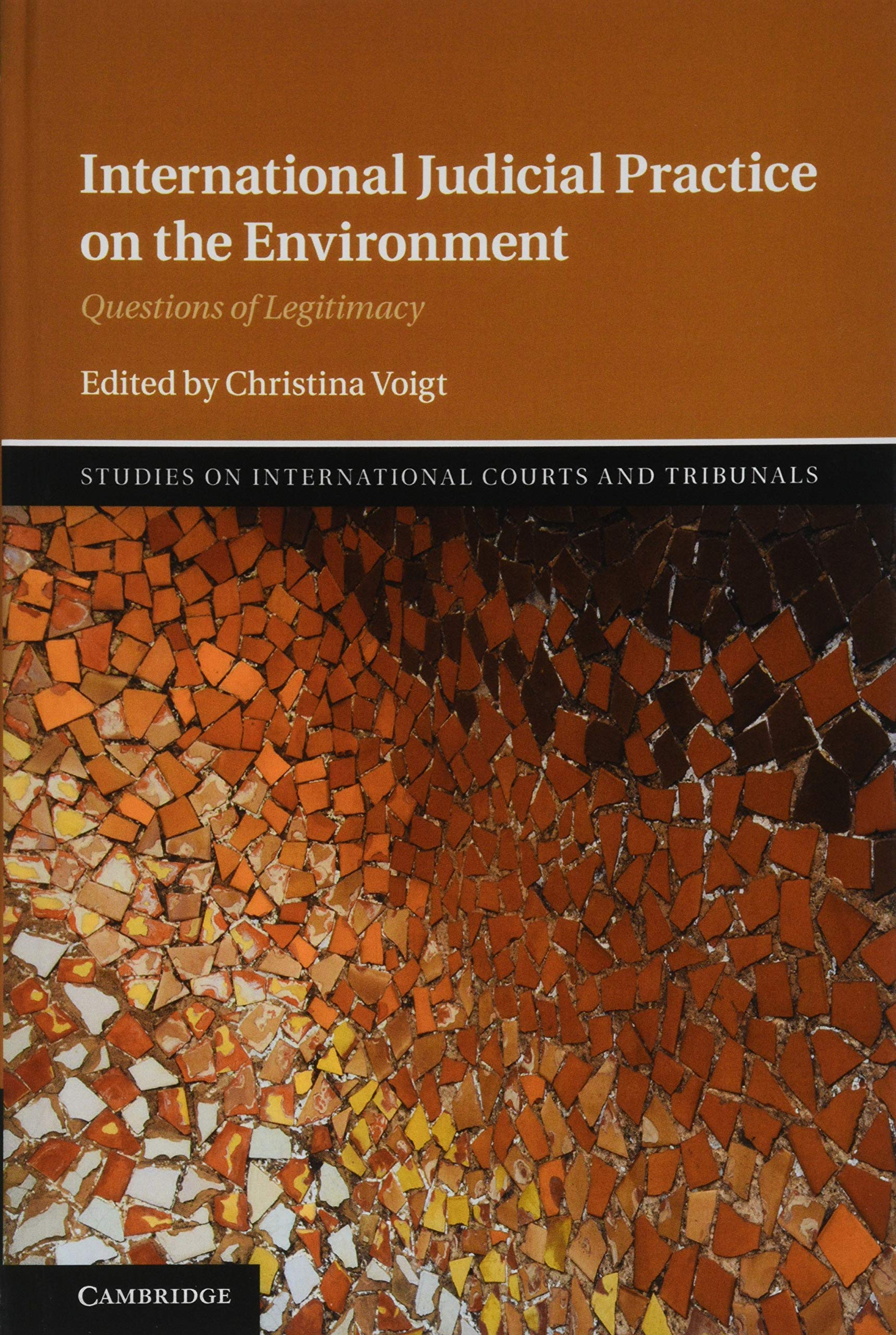 International Judicial Practice on the Environment: Questions of Legitimacy (Studies on International Courts and Tribunals),Used