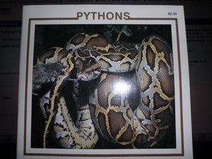 Pythons (The Snake Discovery Library),Used
