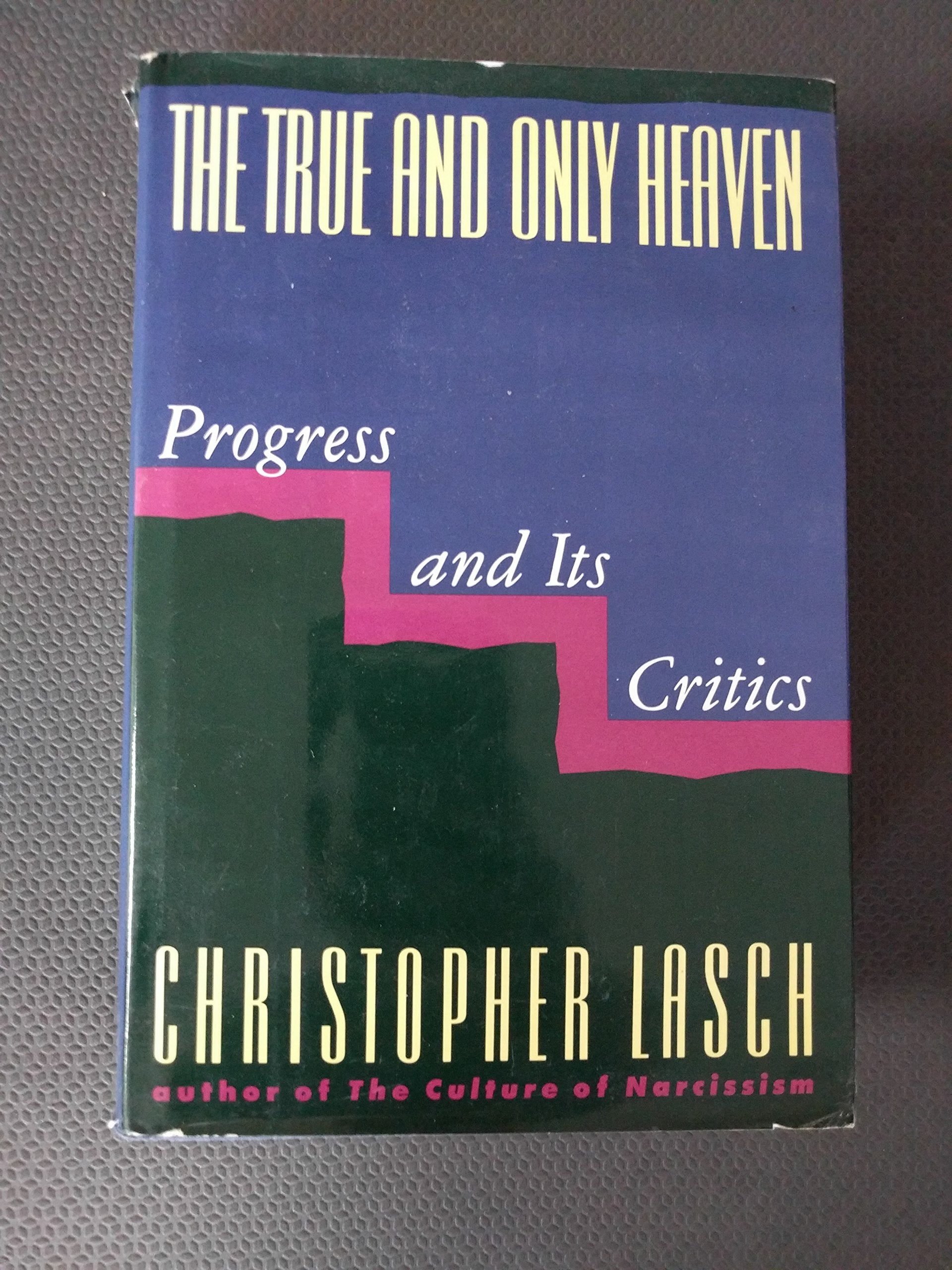 The True And Only Heaven: Progress And Its Critics,New