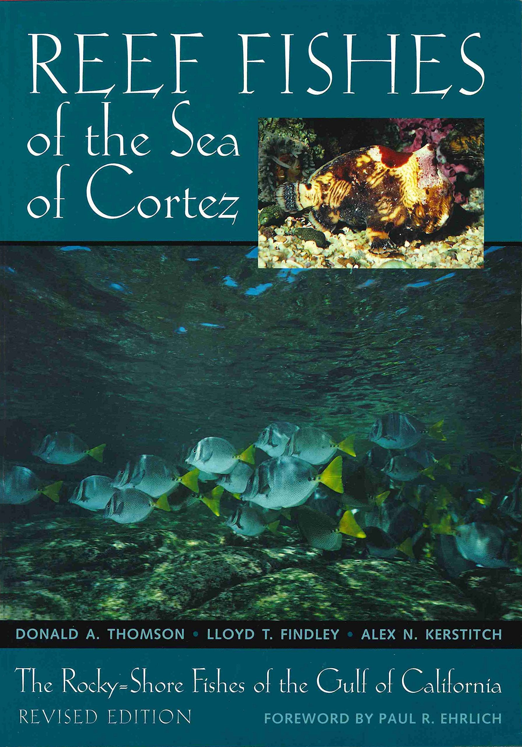 Reef Fishes of the Sea of Cortez: The RockyShore Fishes of the Gulf of,Used
