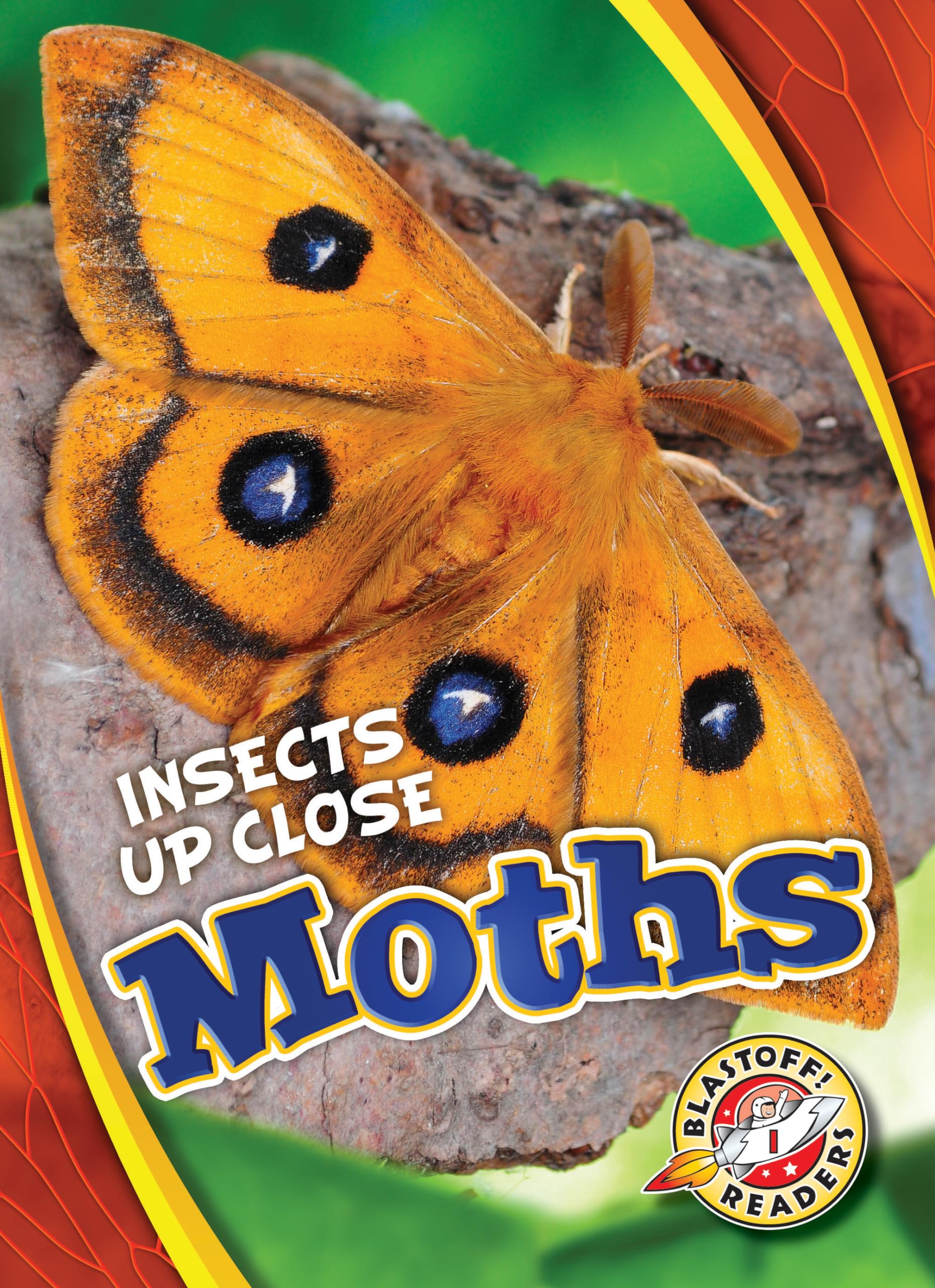 Moths (Insects Up Close),Used