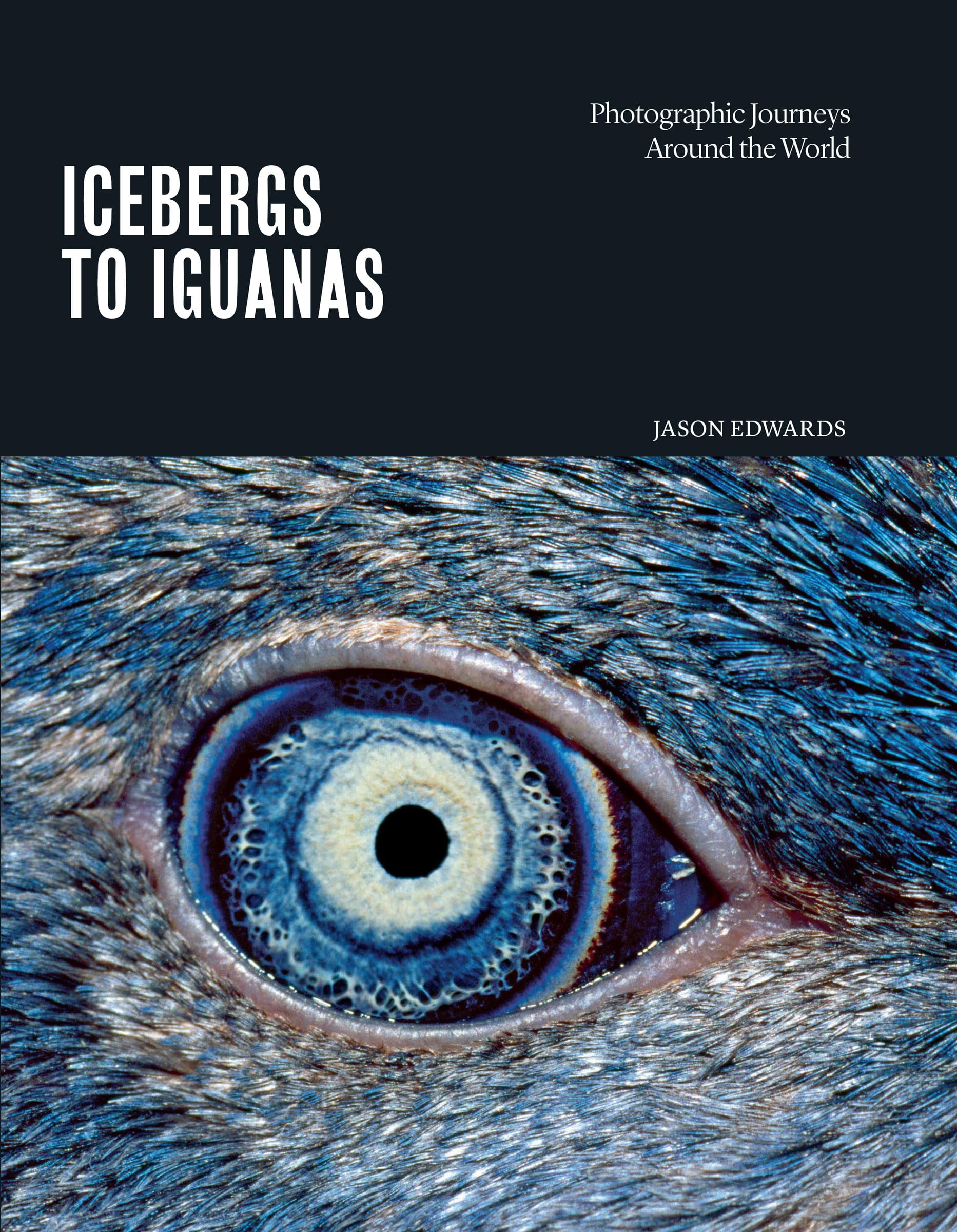 Icebergs To Iguanas: Photographic Journeys Around The World,New