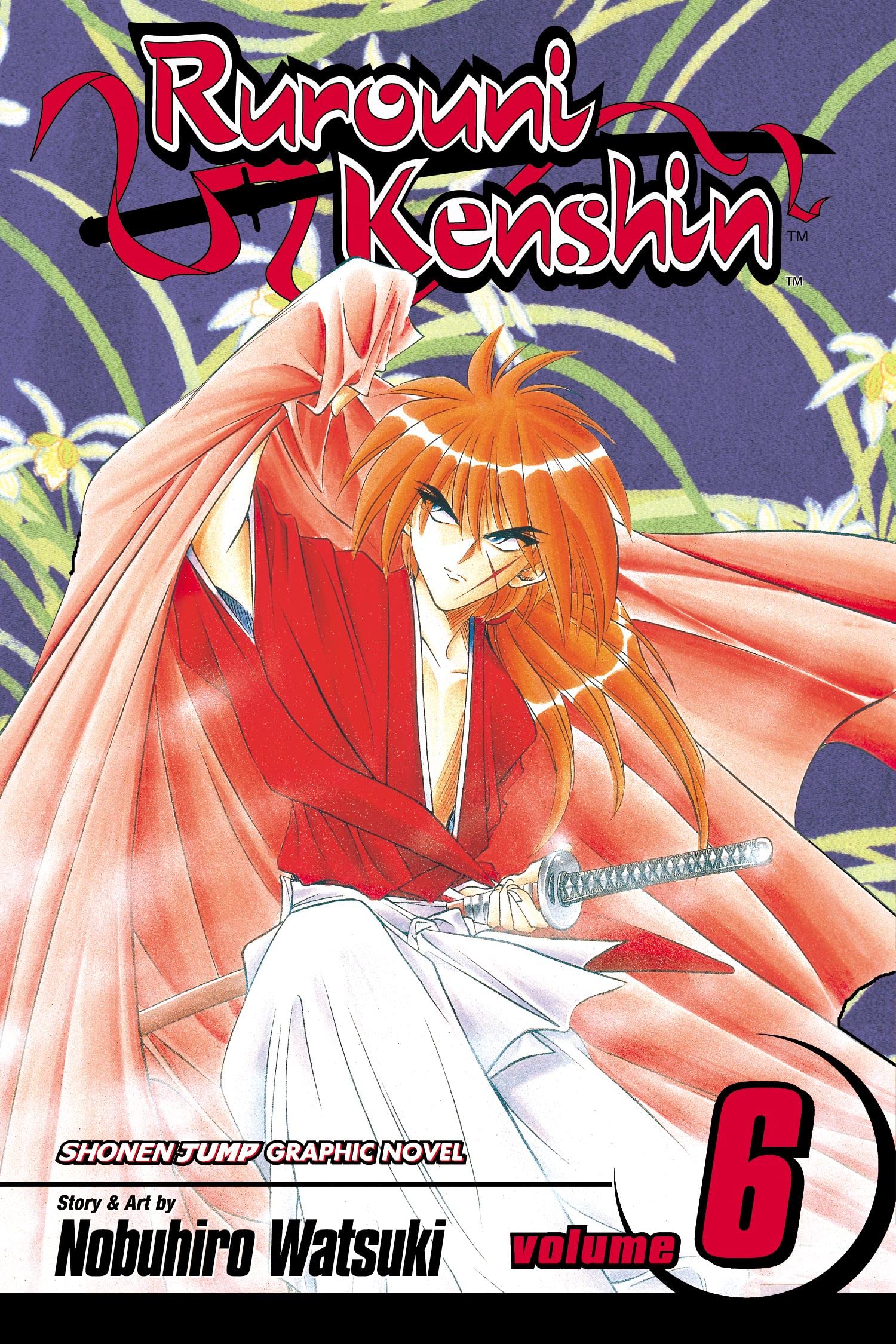Rurouni Kenshin, Volume 6,Used