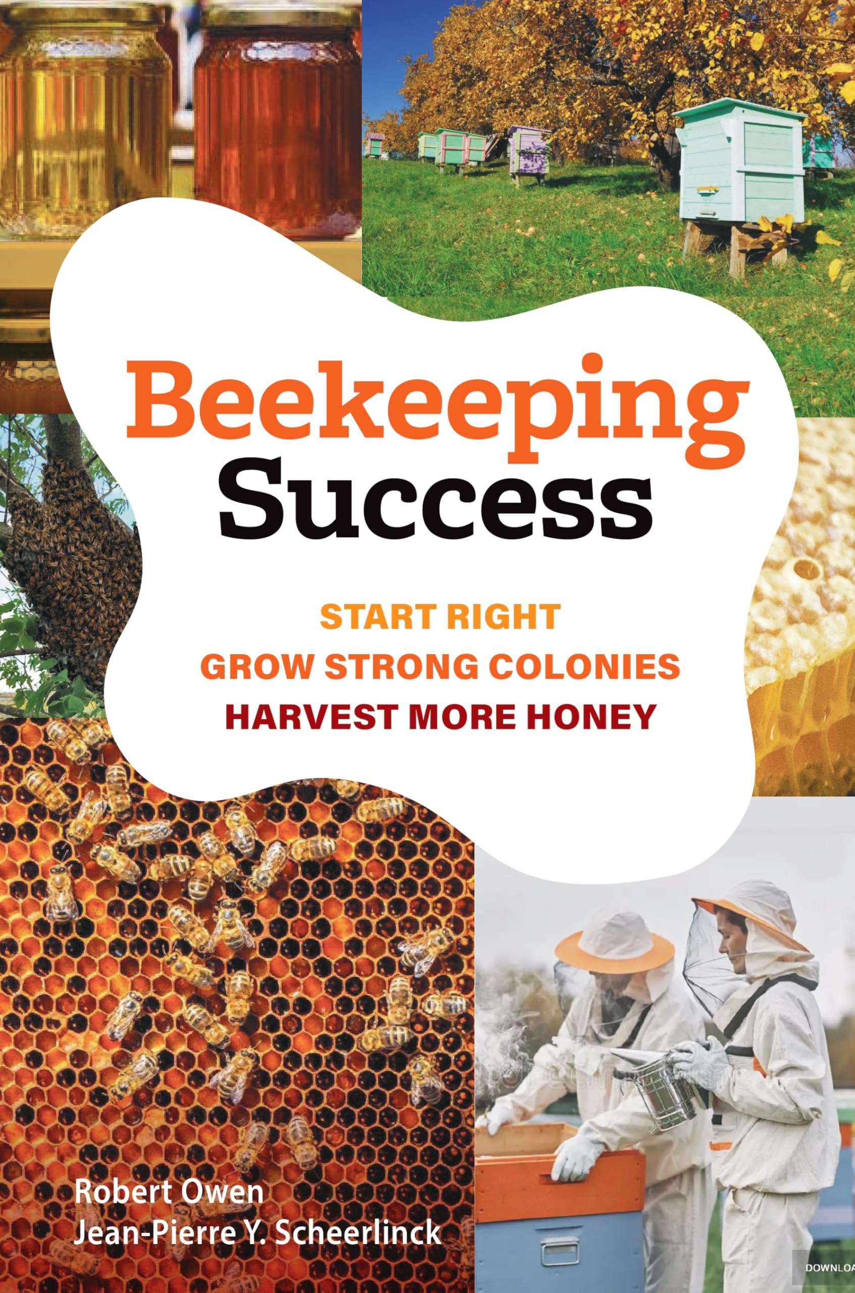 Beekeeping Success: Start Right, Grow Strong Colonies, Harvest More Honey