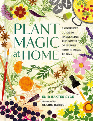 Plant Magic At Home
