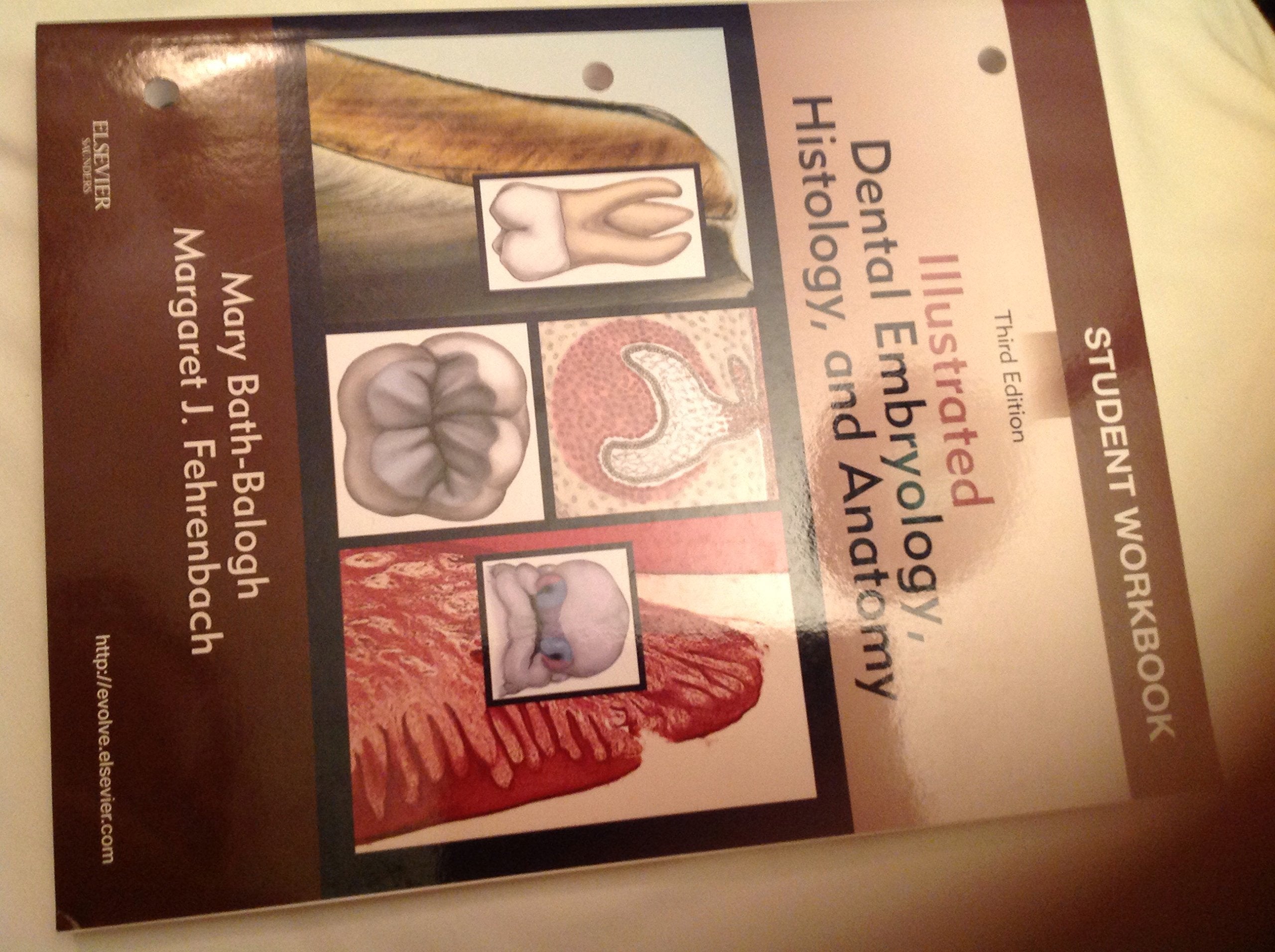 Student Workbook for Illustrated Dental Embryology, Histology and Anatomy,New