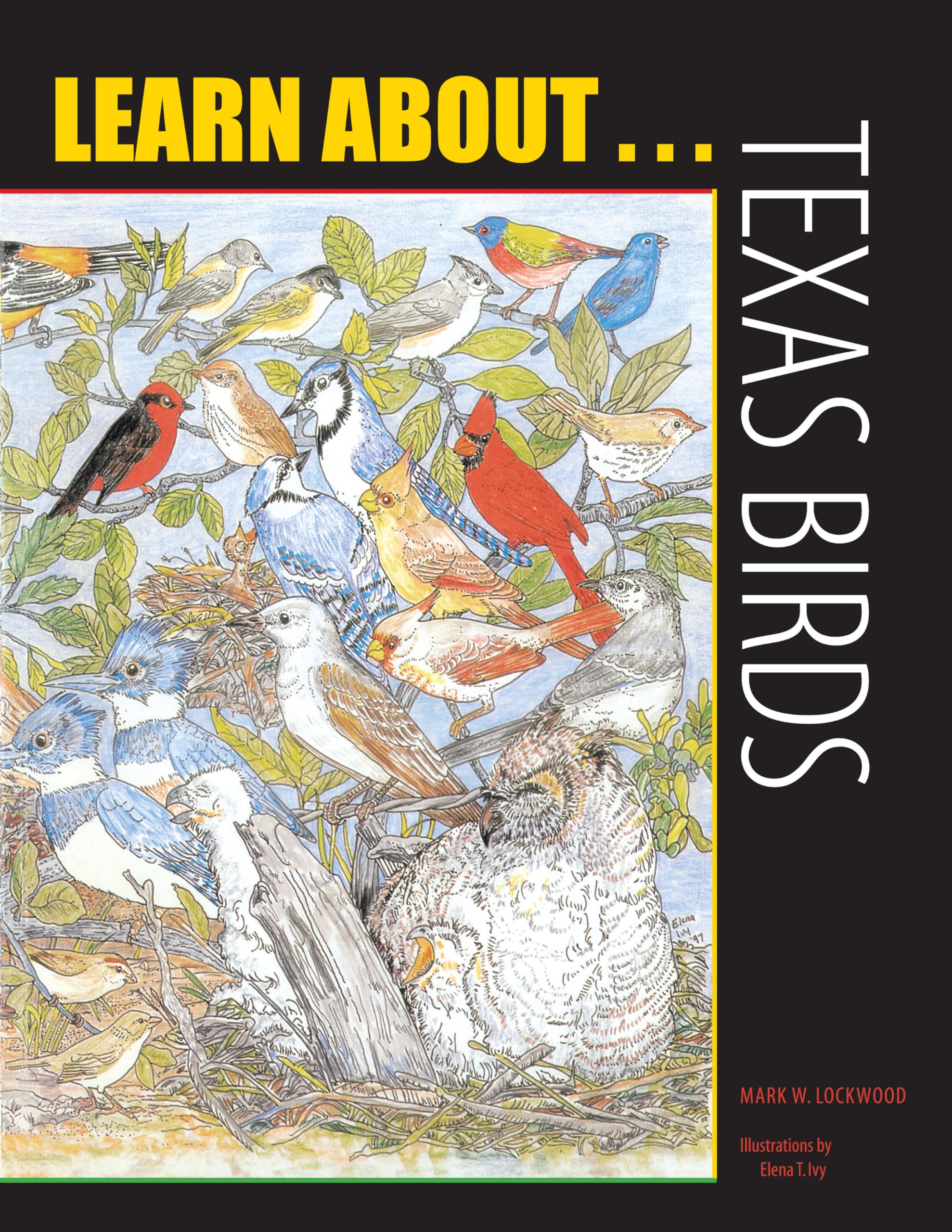 Learn About . . . Texas Birds,Used