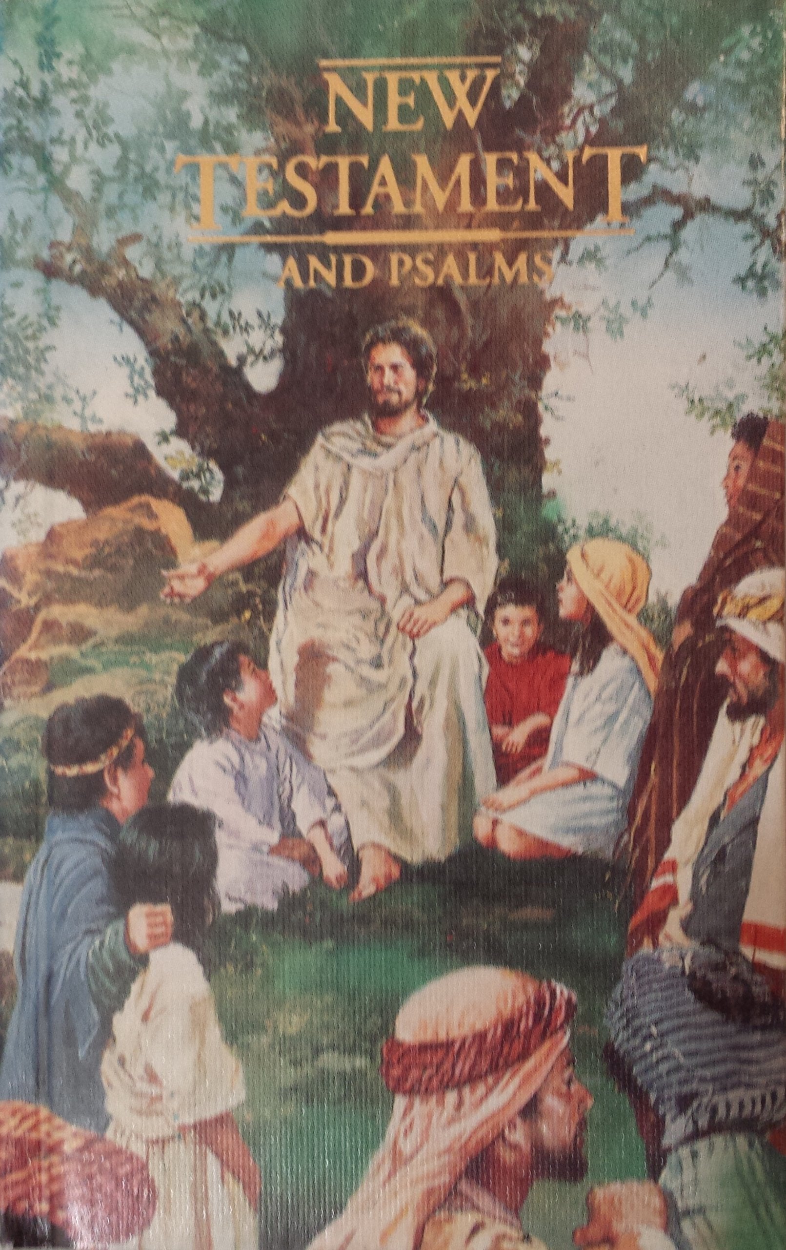 Seaside Bible Vest Pocket With New Testament & Psalms,Used