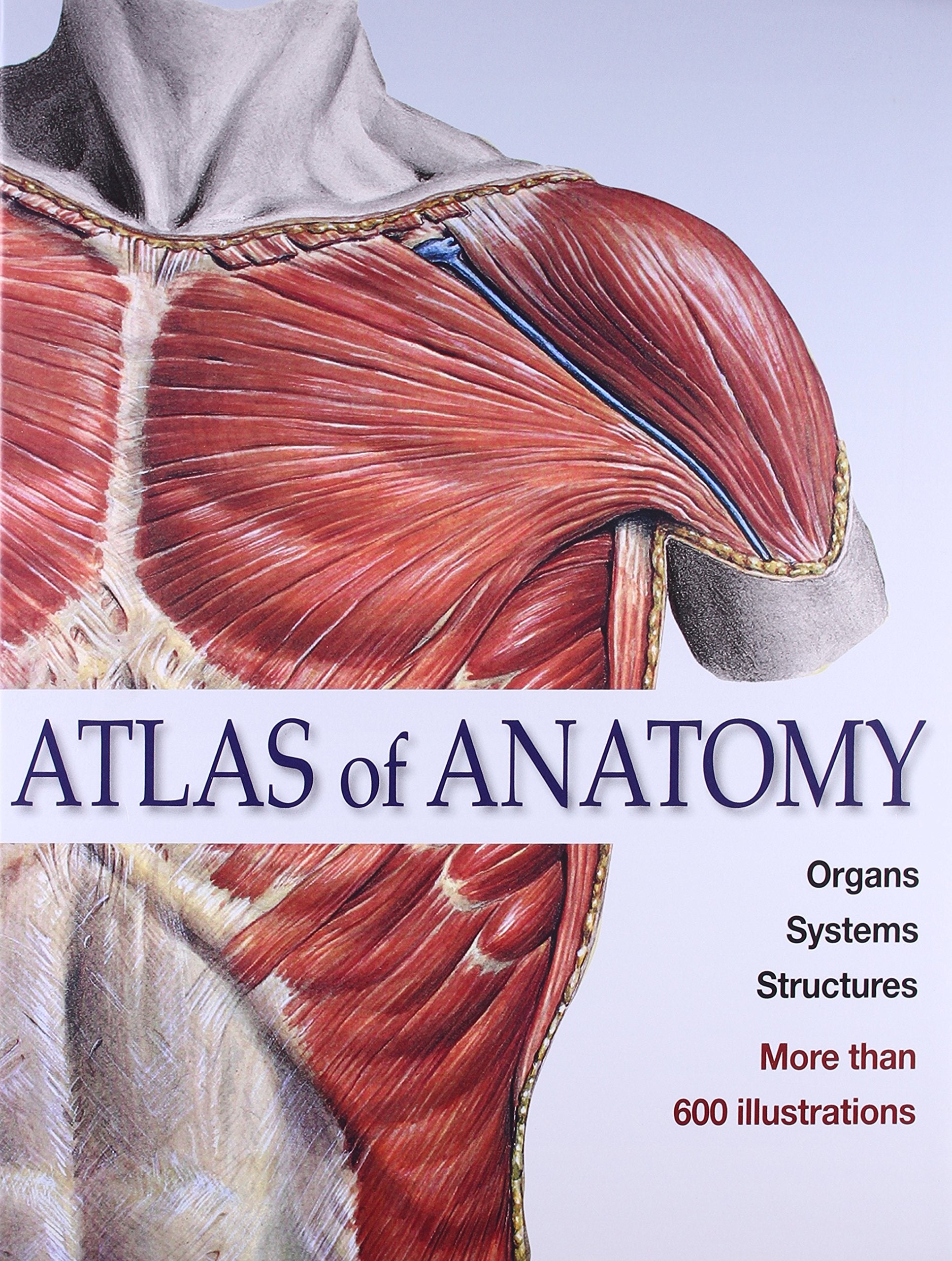 Atlas Of Anatomy Organs Systems Structures