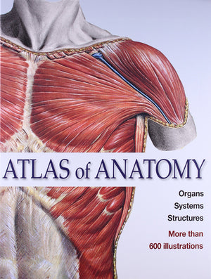 Atlas Of Anatomy Organs Systems Structures
