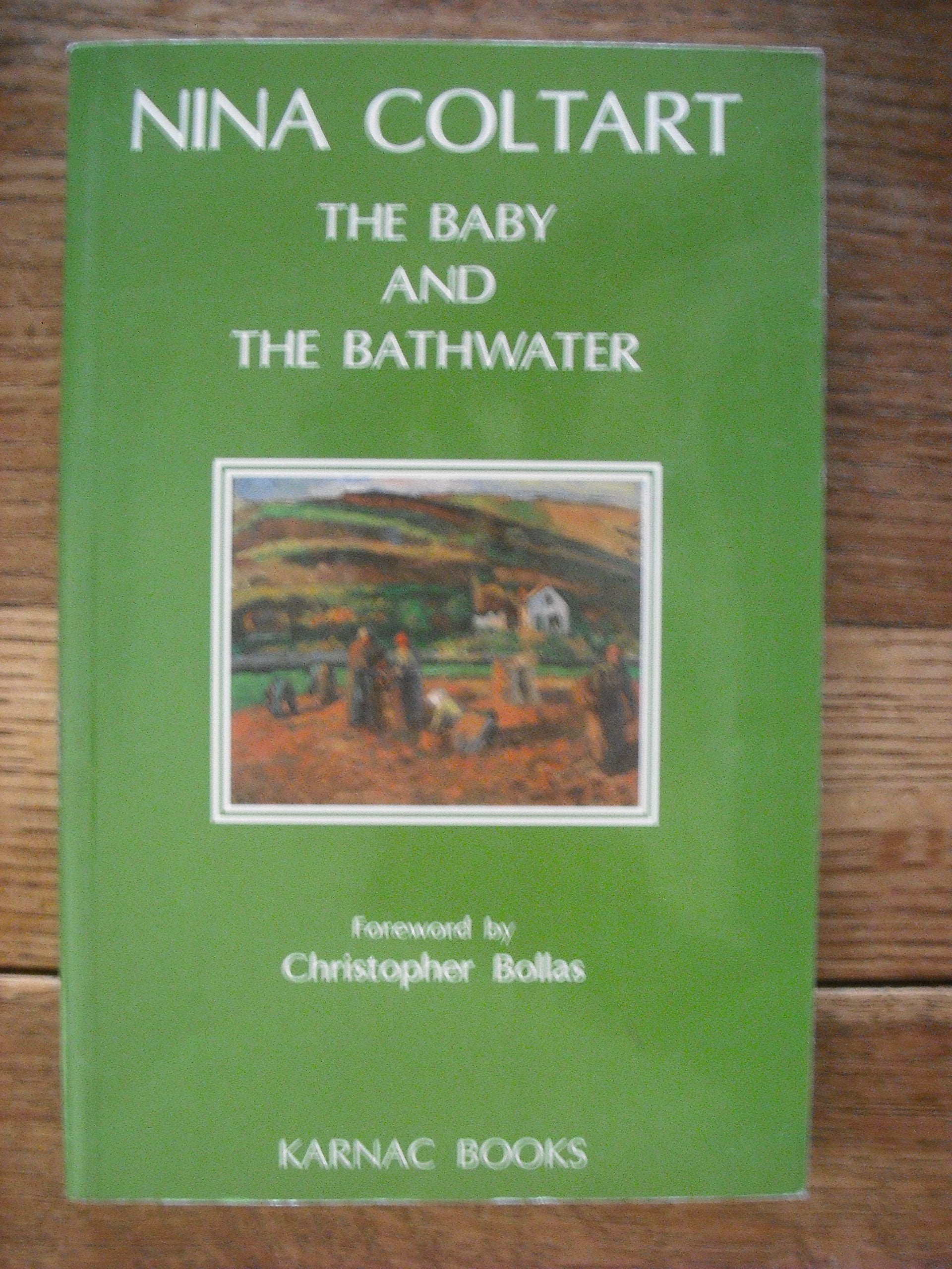 The Baby and the Bathwater,Used