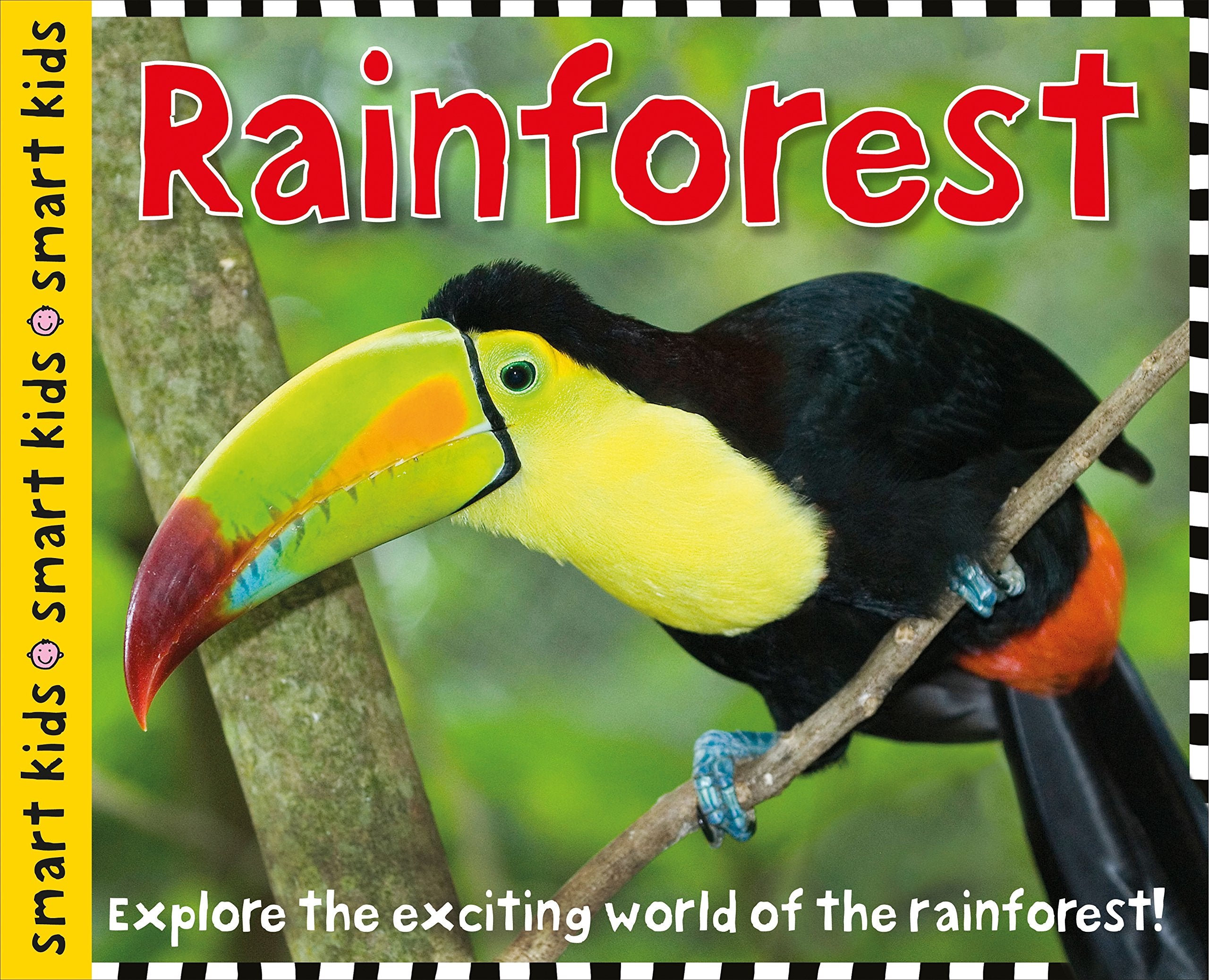 Smart Kids: Rainforest,Used