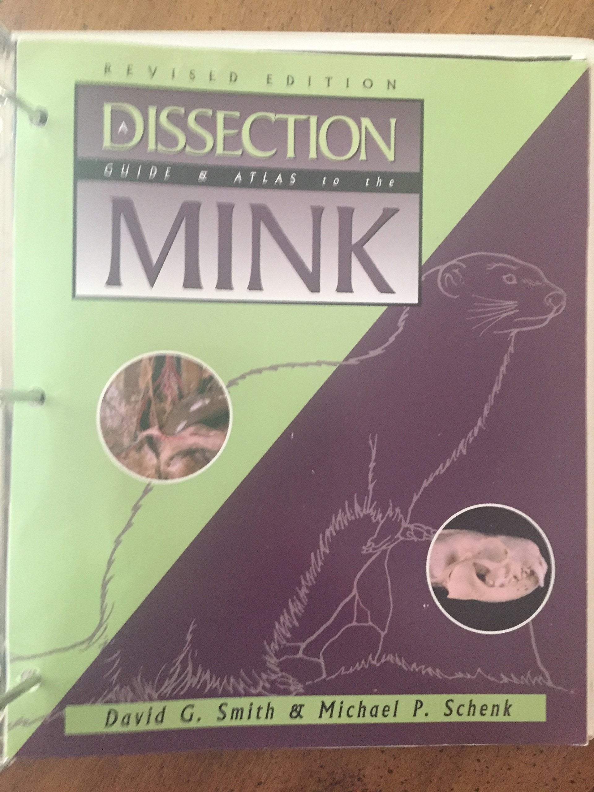 Dissection Guide And Atlas To The Mink,Used