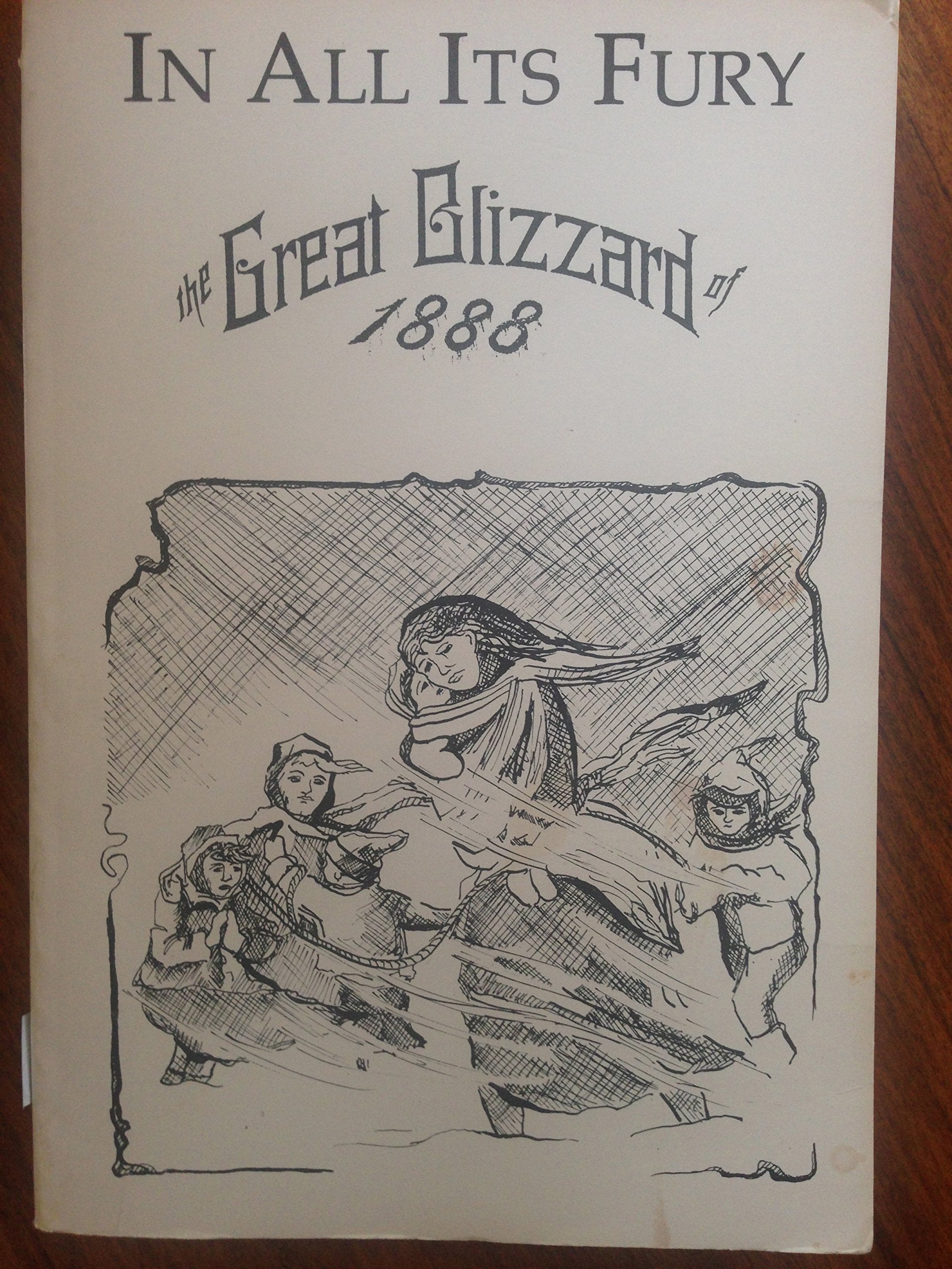 In All Its Fury: A History of the Blizzard of January 12, 1888,Used