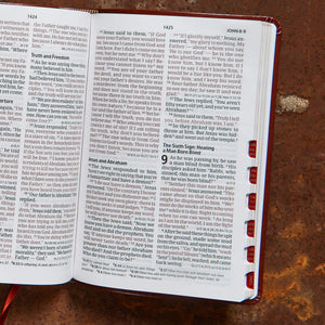 CSB Large Print Personal Size Reference Bible, Brown LeatherTouch, Indexed, Red Letter, Presentation Page, CrossReferences, Ful,Used