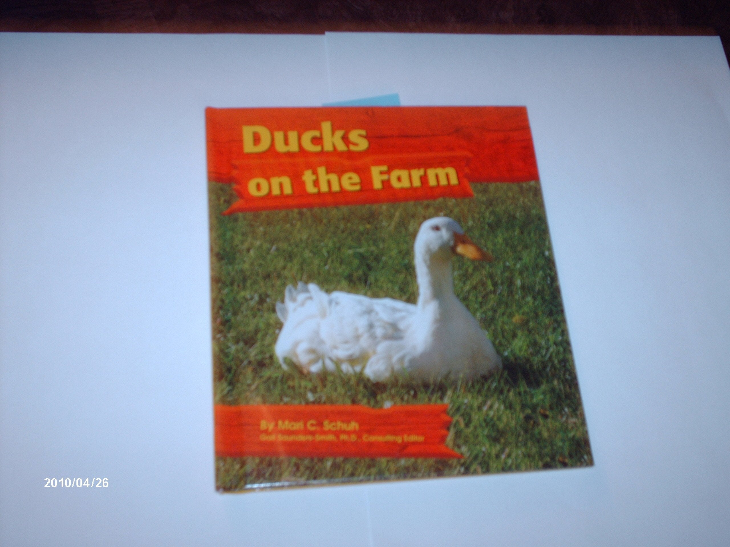 Ducks on the Farm