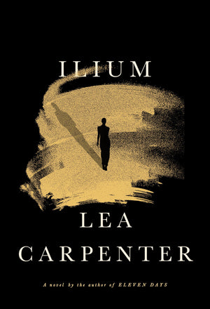Ilium: A Novel,Used