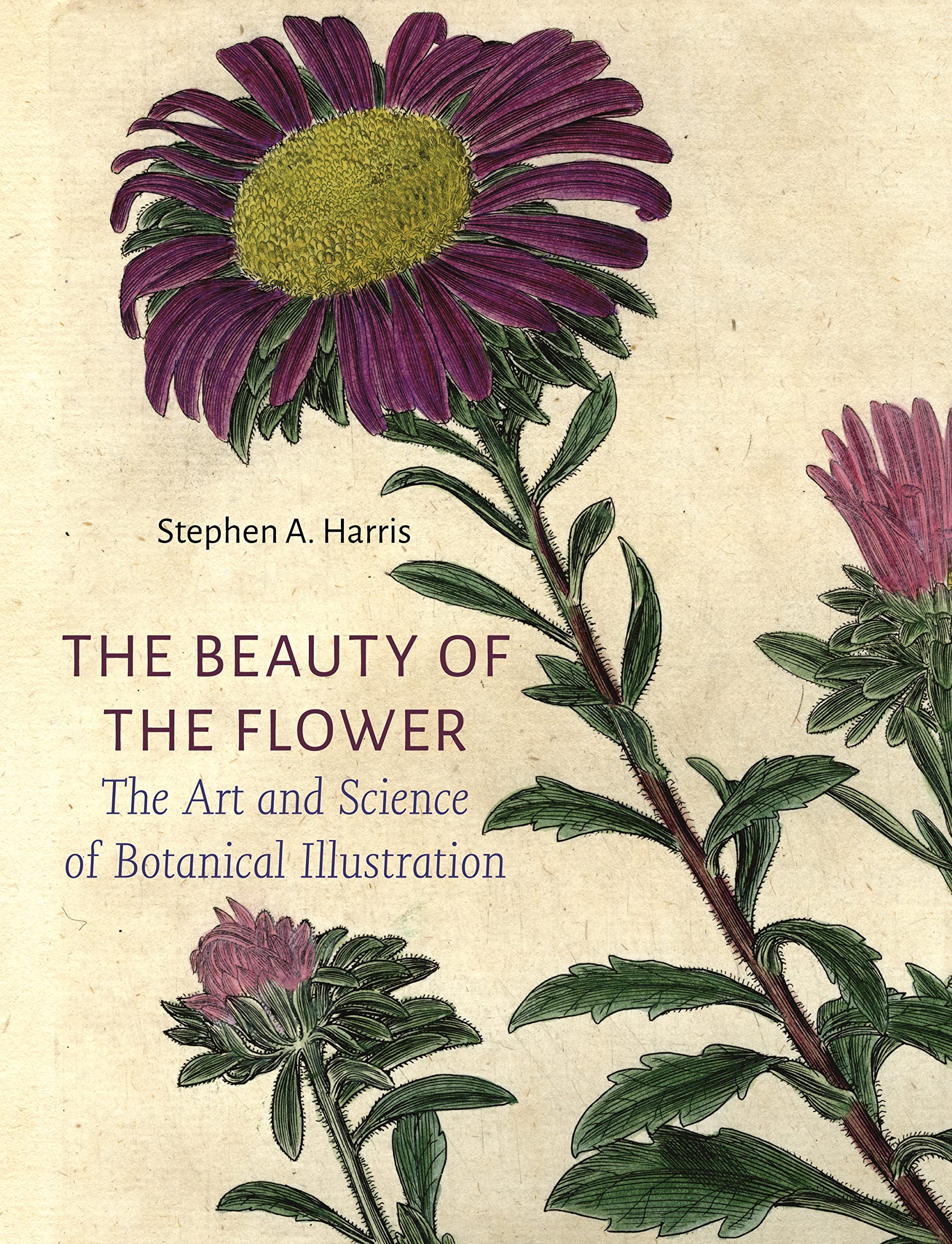 The Beauty Of The Flower: The Art And Science Of Botanical Illustration,New