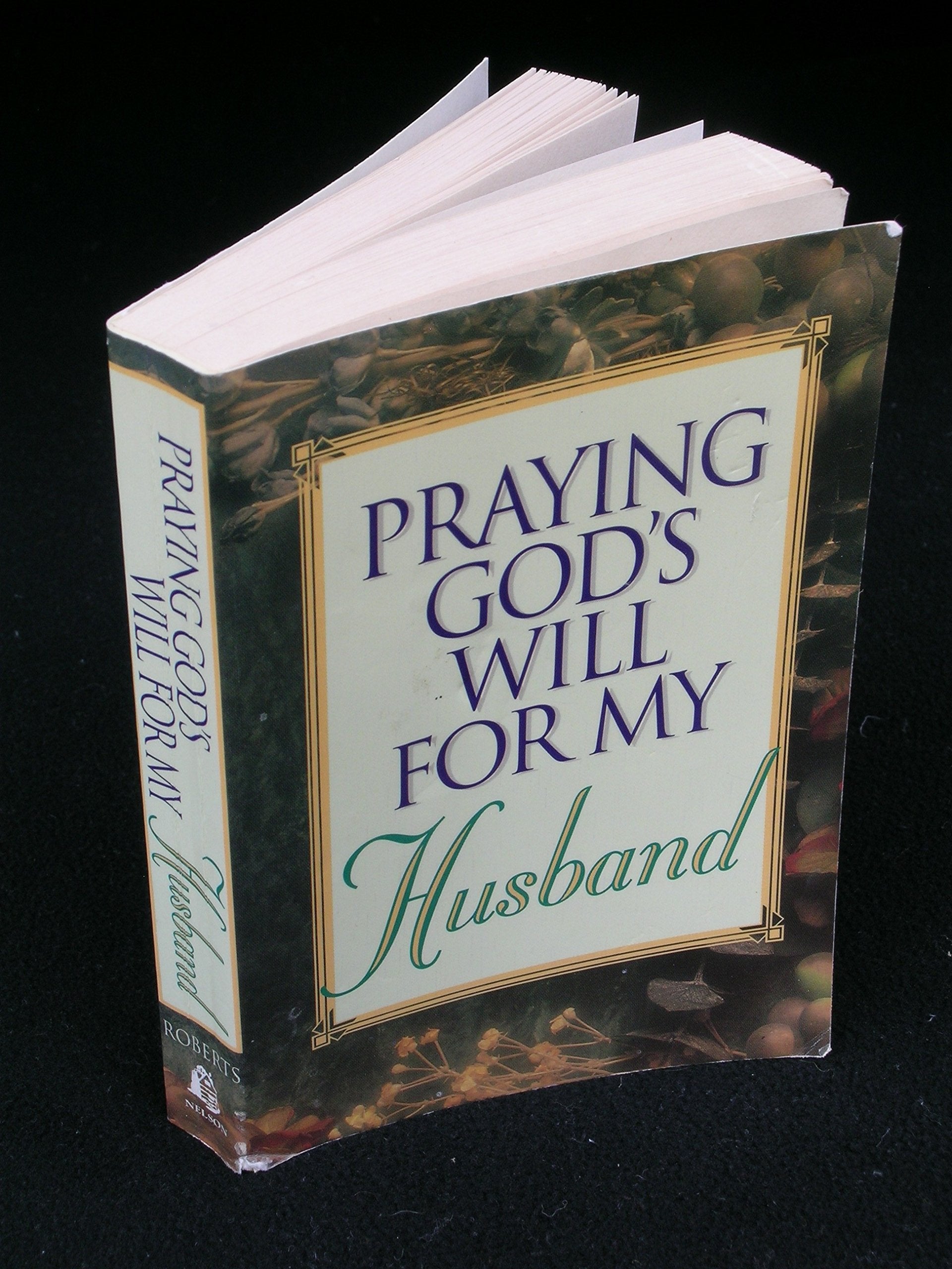 Praying God's Will for My Husband,Used