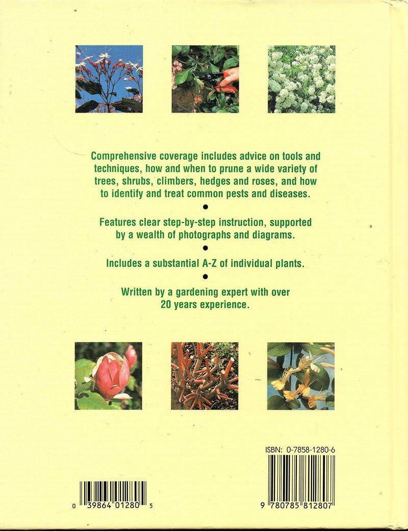 A Practical Guide to Pruning,Used