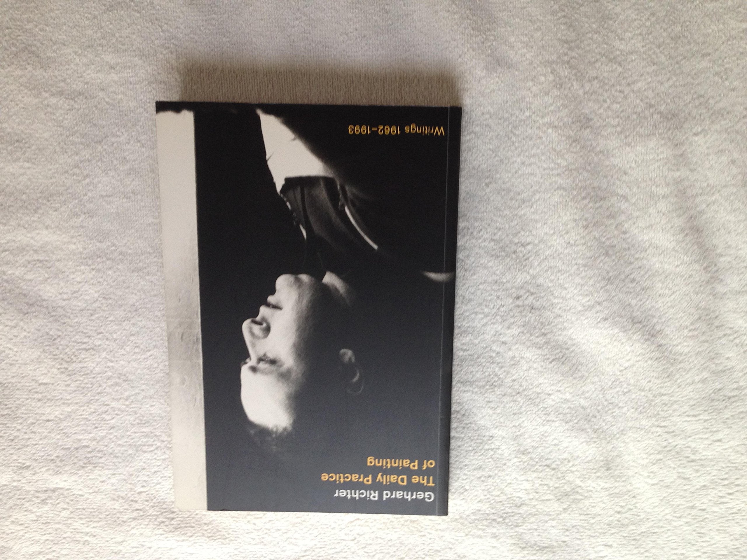 The Daily Practice of Painting: Writings 19621993,New