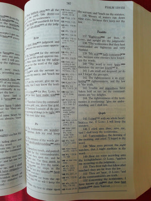 HebrewGreek Key Study Bible: King James Version,Used