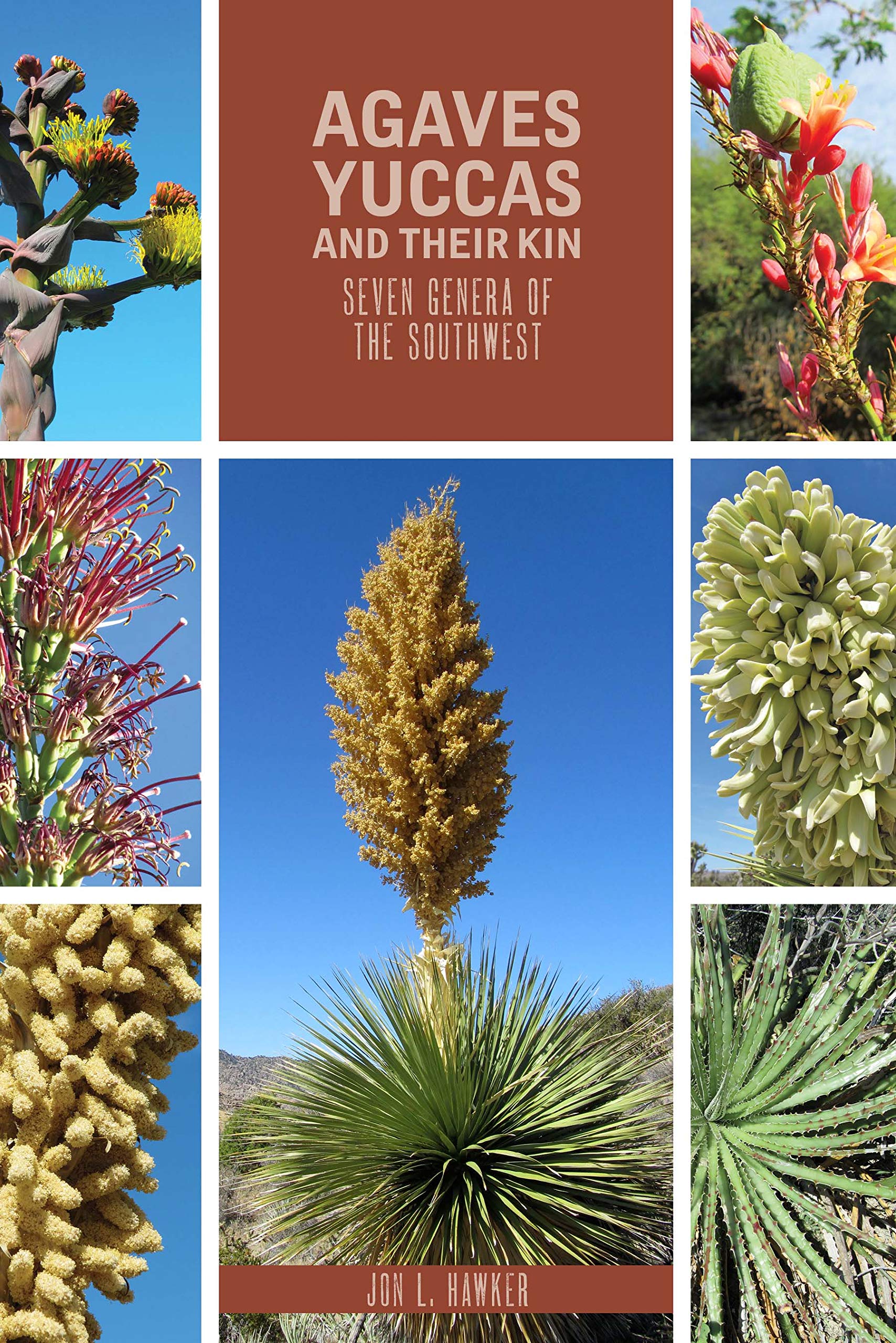 Agaves, Yuccas, and Their Kin: Seven Genera of the Southwest (Grover E. Murray Studies in the American Southwest),Used