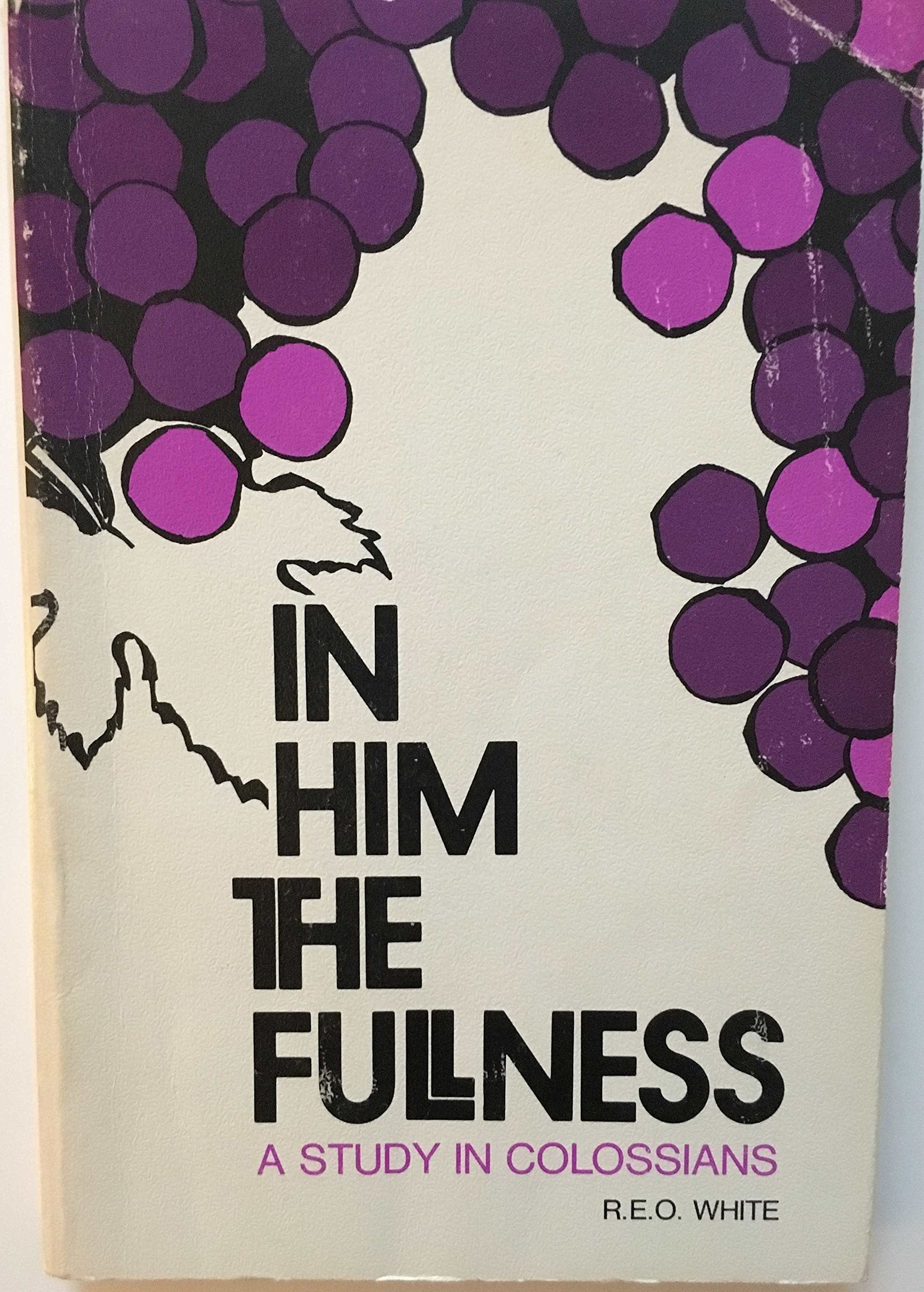 In Him the fullness;: Homiletic studies in Paul's Epistle to the Colossians,Used