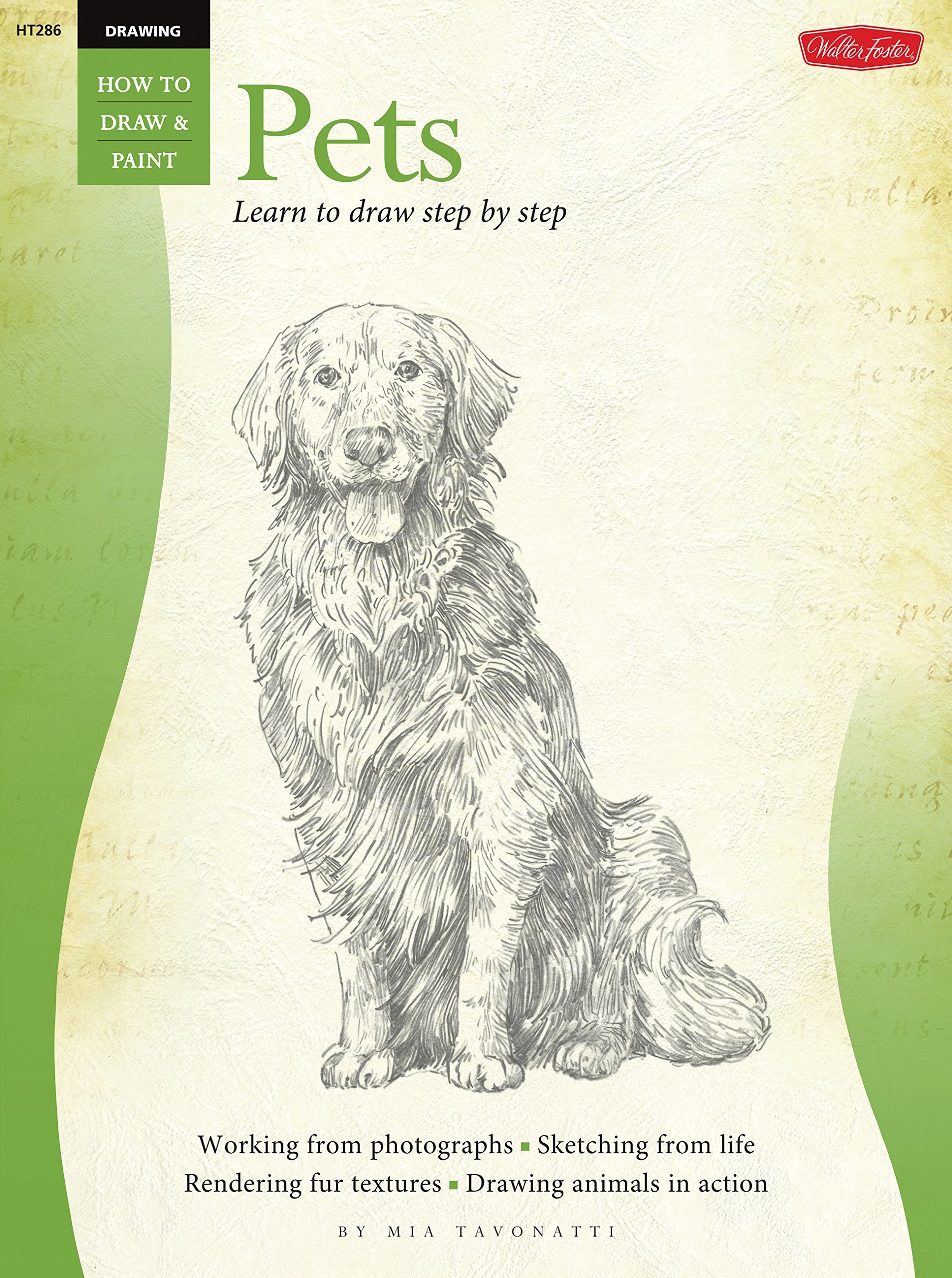 Drawing: Pets: Learn To Paint Step By Step (How To Draw & Paint)