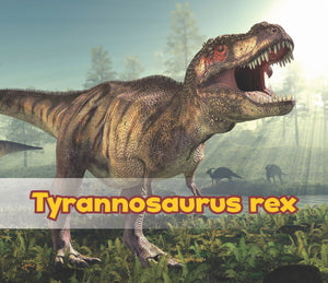 Tyrannosaurus Rex (Acorn: All About Dinosaurs),Used