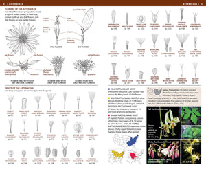 National Wildlife Federation Field Guide to Wildflowers of North America,Used